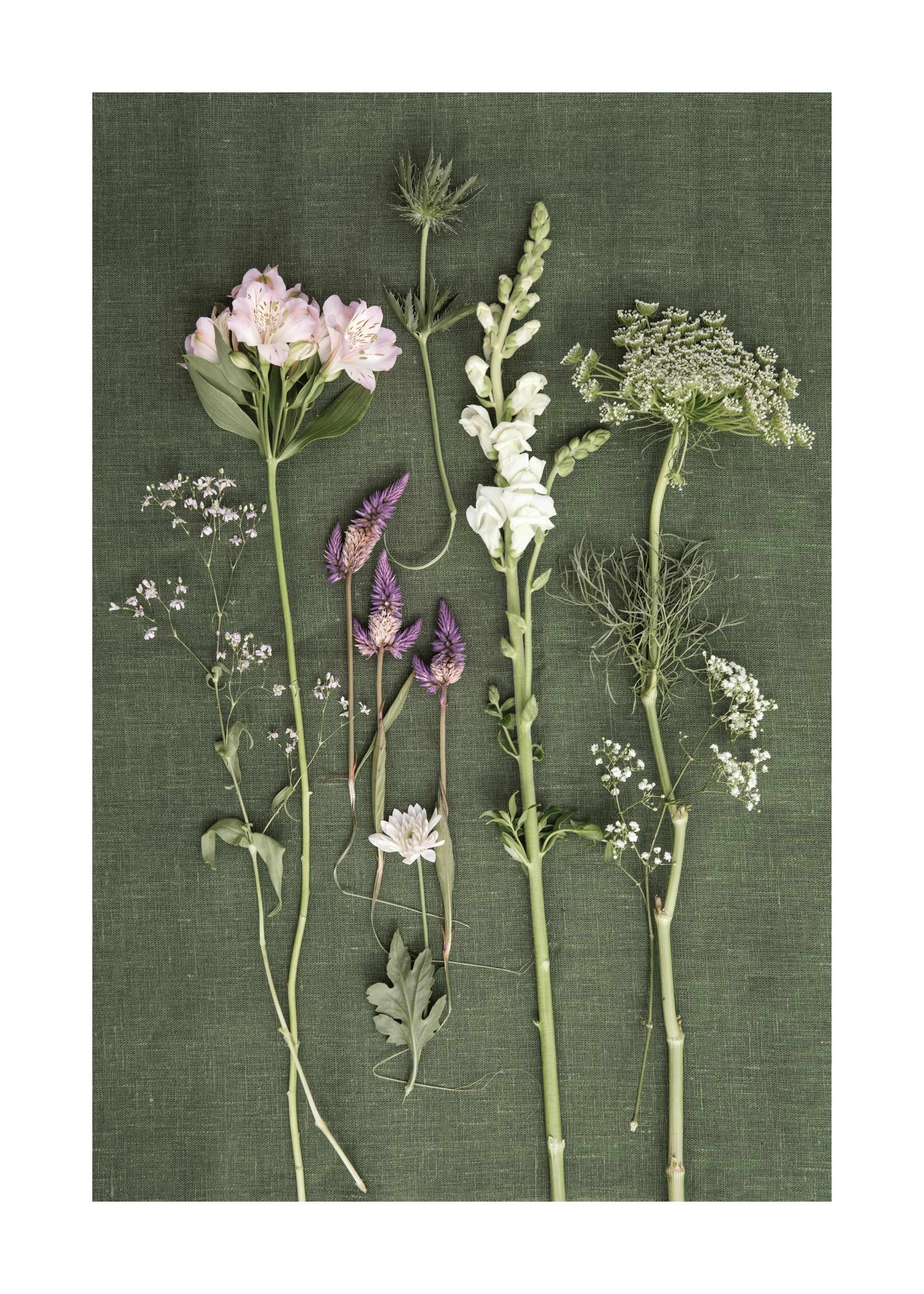 Seven Kinds Of Flowers Poster 0