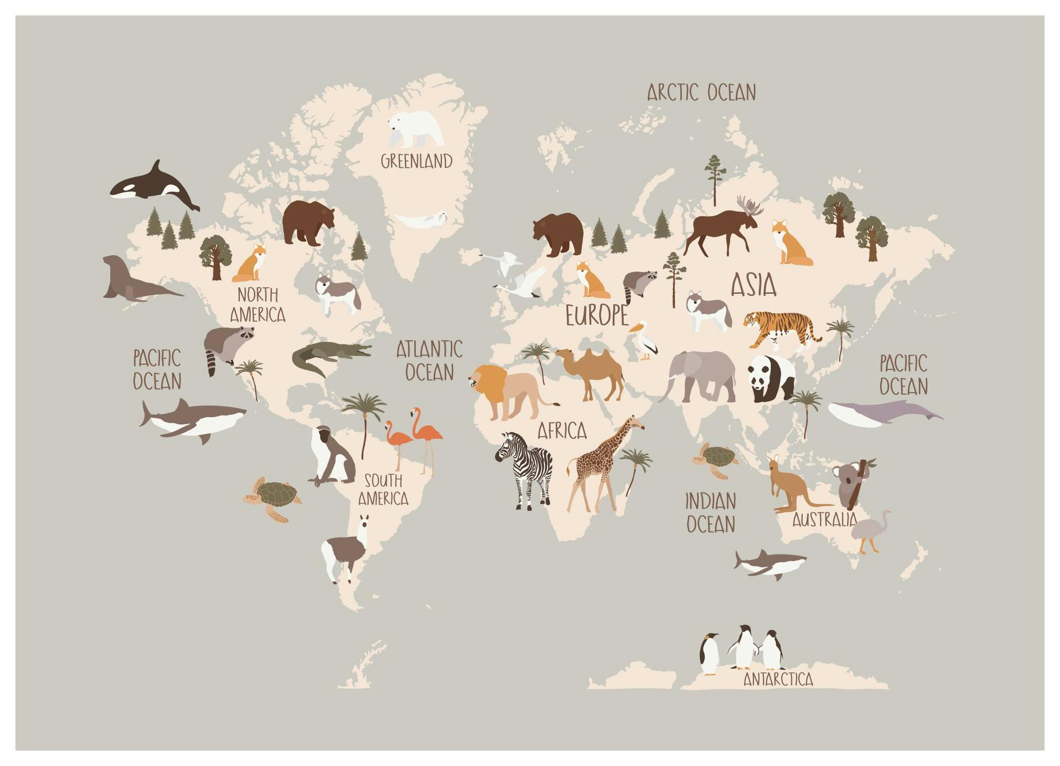 Plakat Mapa Dzikich Zwierząt (40x50 cm) - Poster Store
