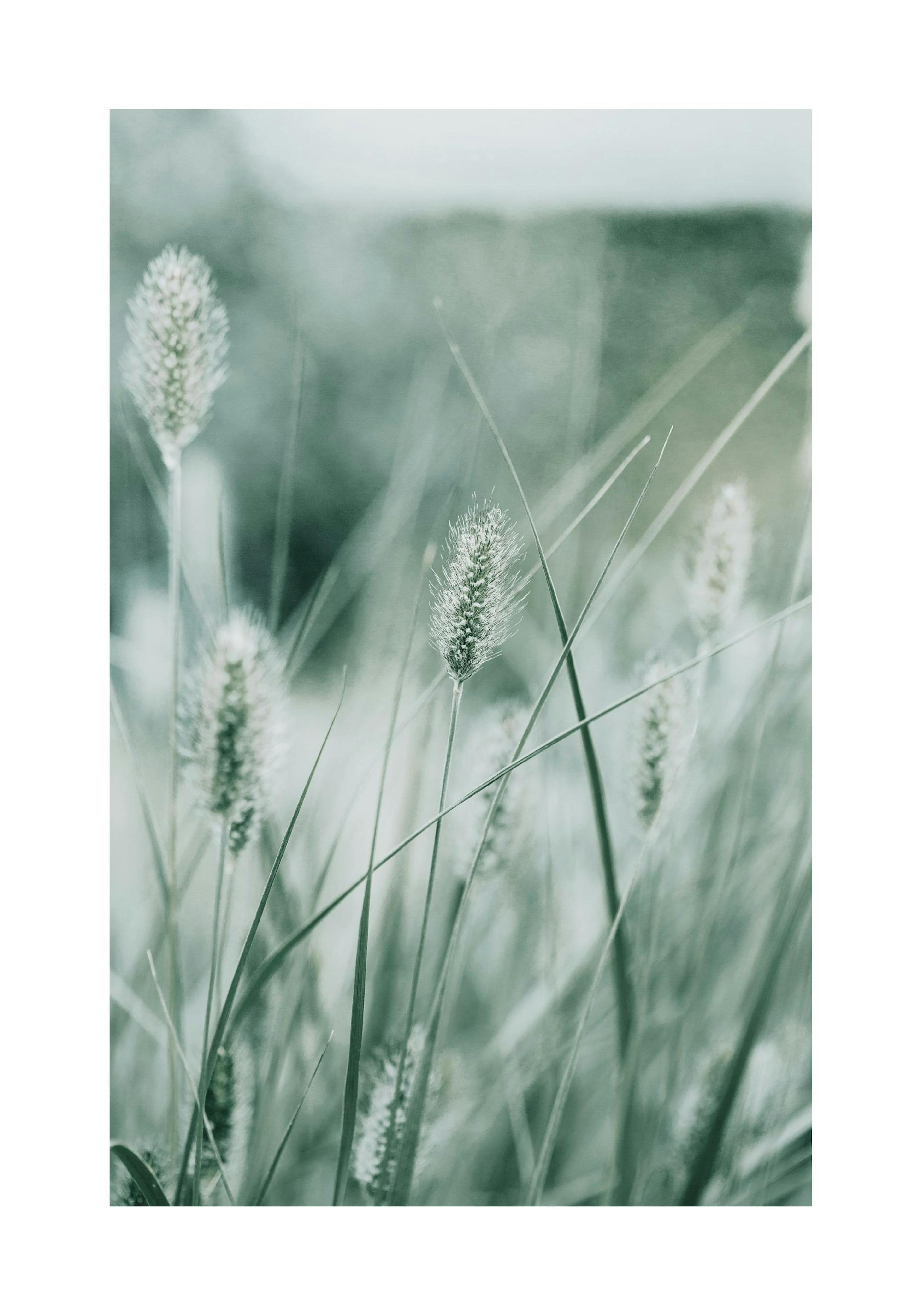 Poetry of Nature No1 Poster thumbnail