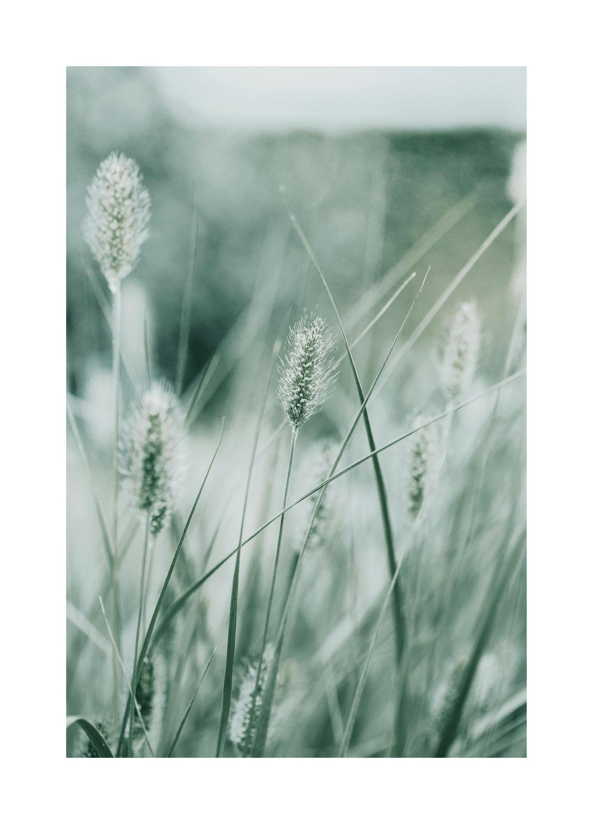 Poezja natury nr 1 Plakat (21x30 cm) - Poster Store
