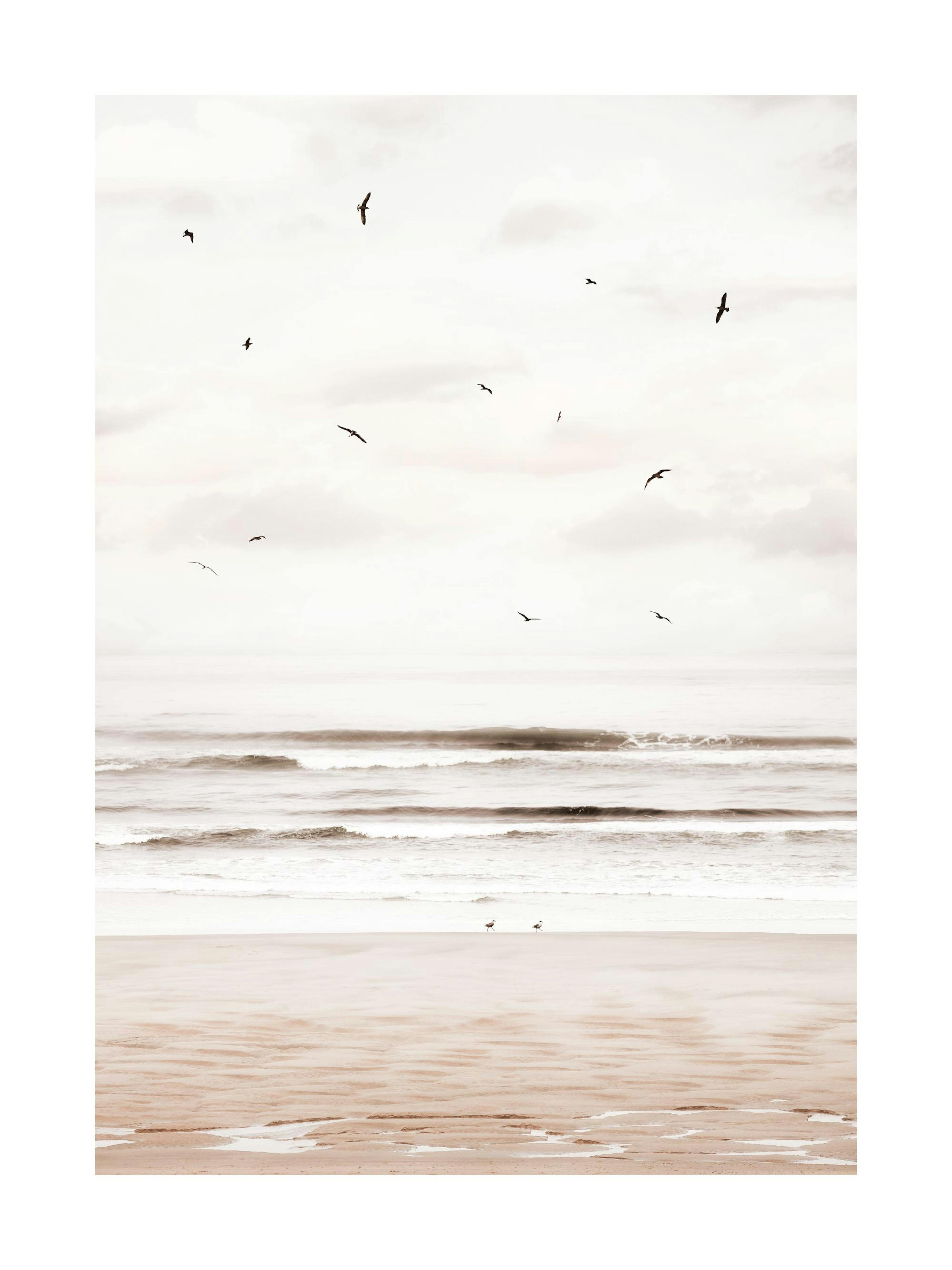 Cannon Beach Poster thumbnail