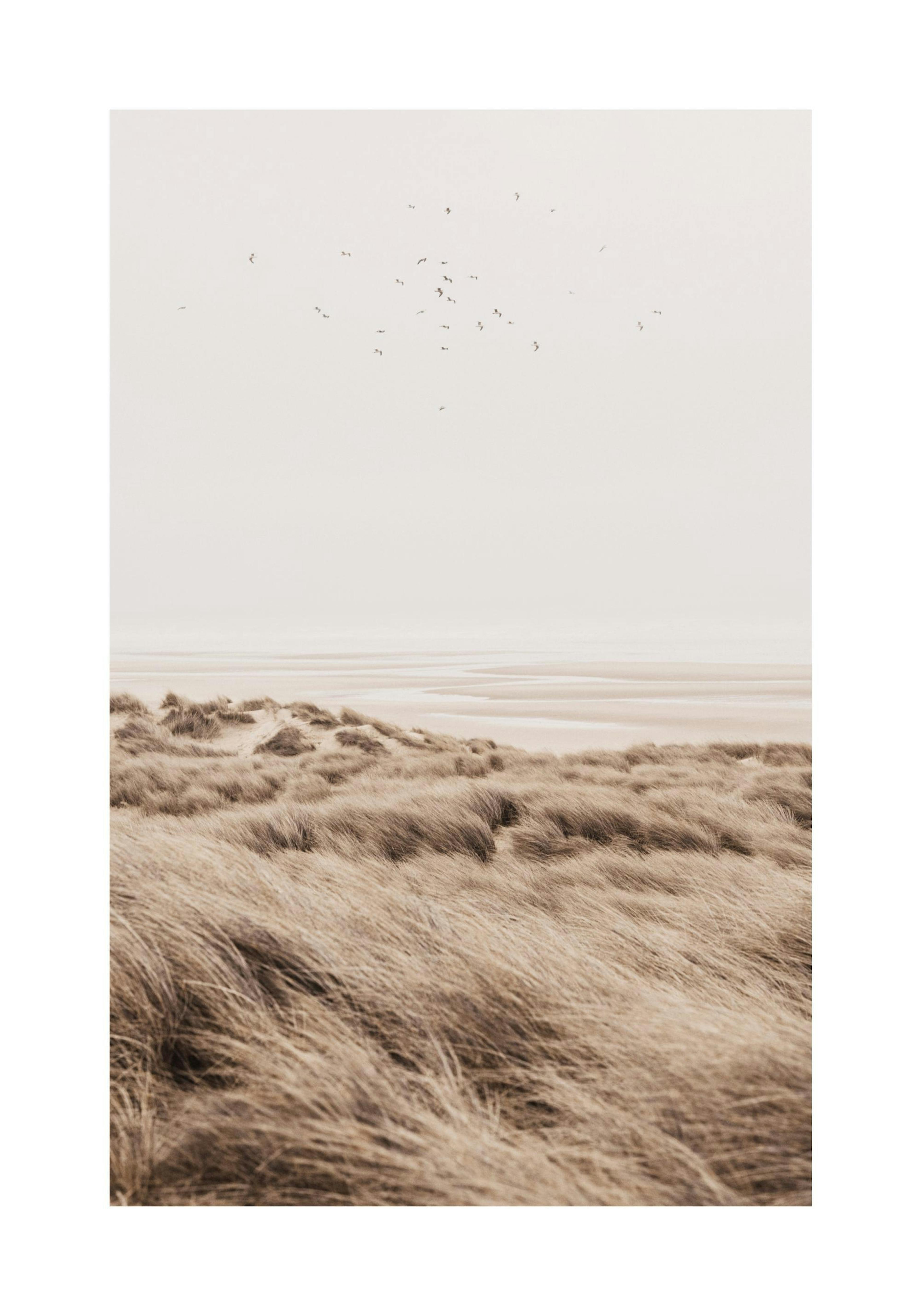 Beige Sand Dunes Poster thumbnail