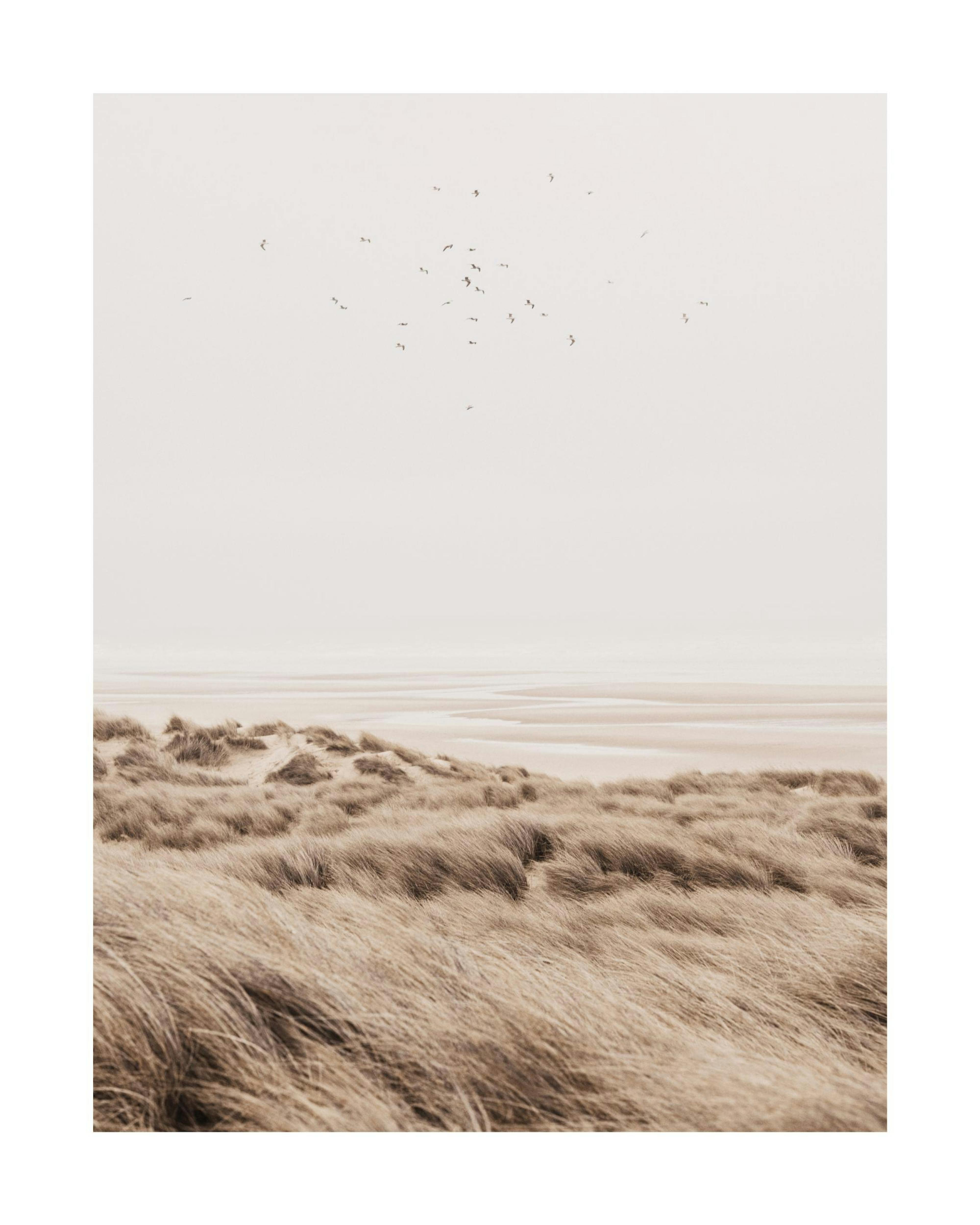 Beige Sand Dunes Poster thumbnail