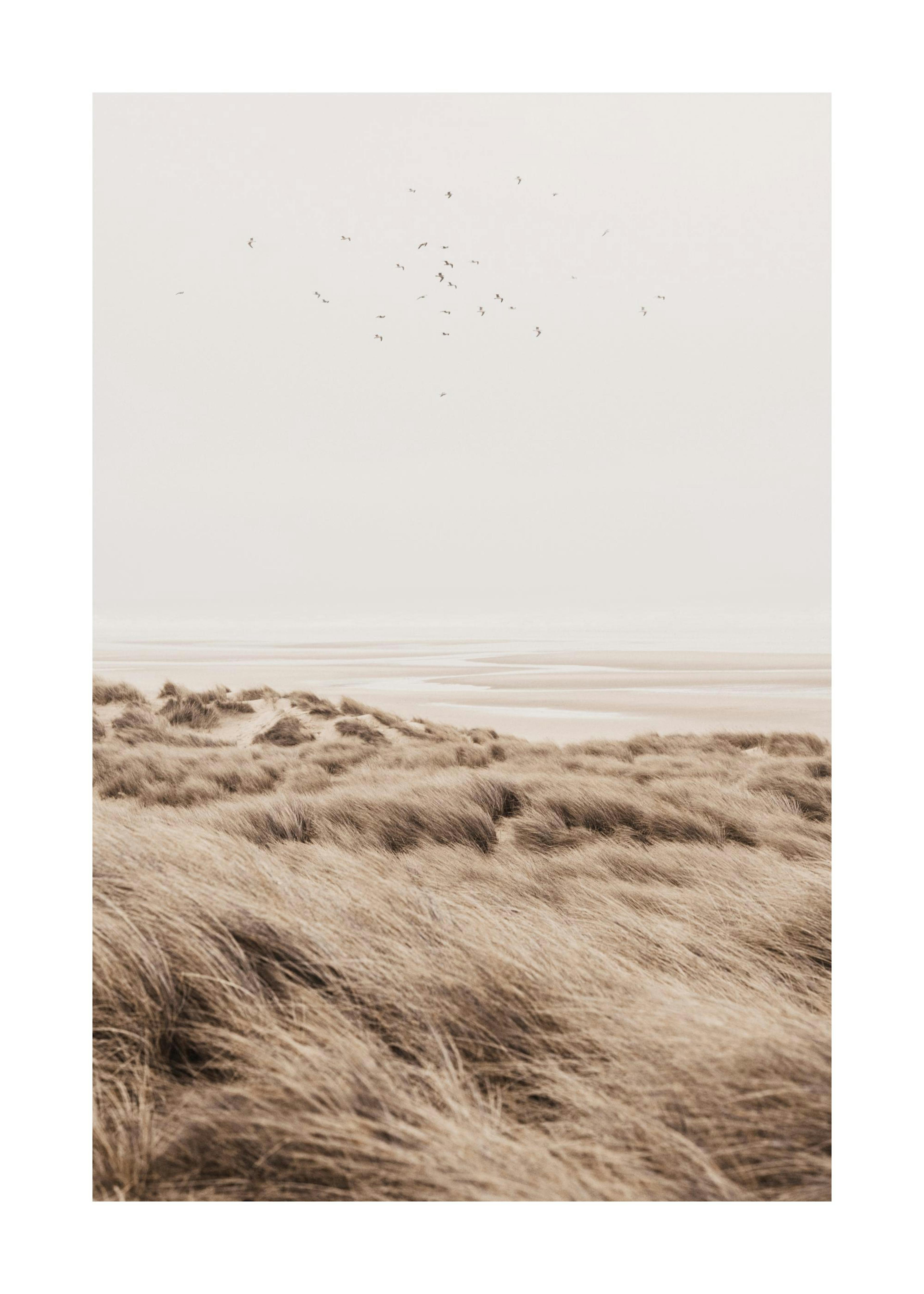 Beige Sand Dunes Poster 0