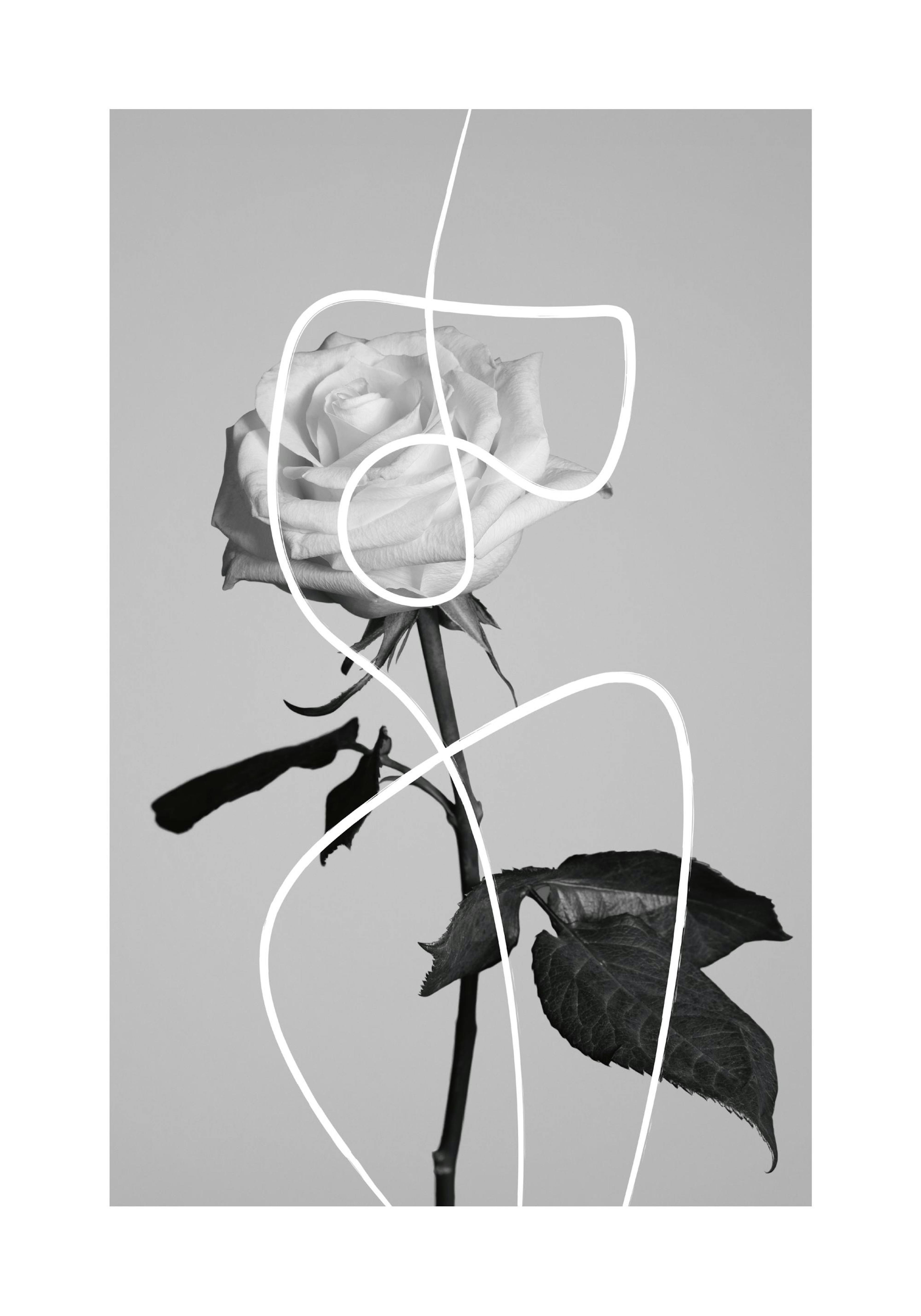 Formes Florales Poster thumbnail