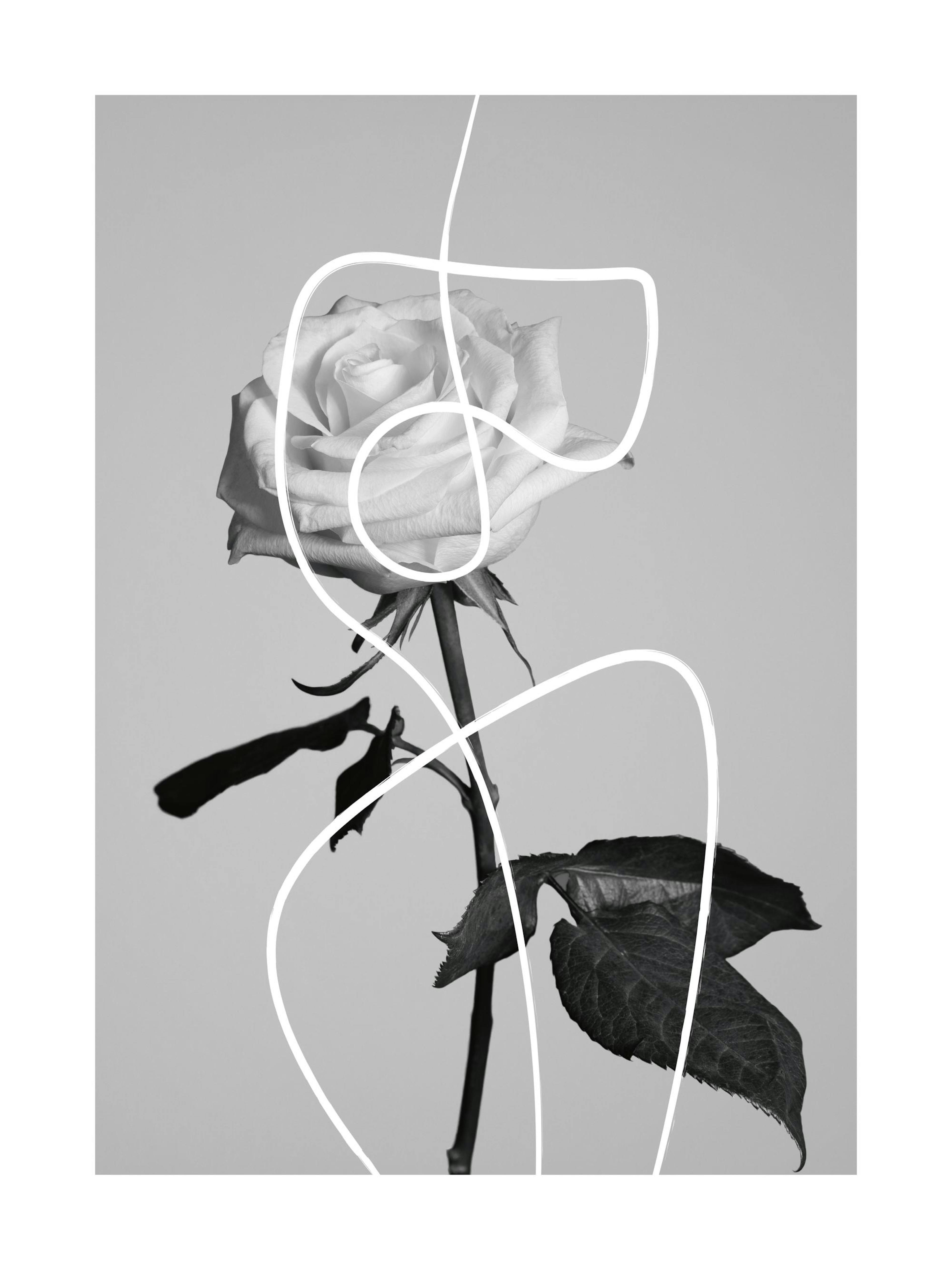 Forme di Fiori Poster thumbnail