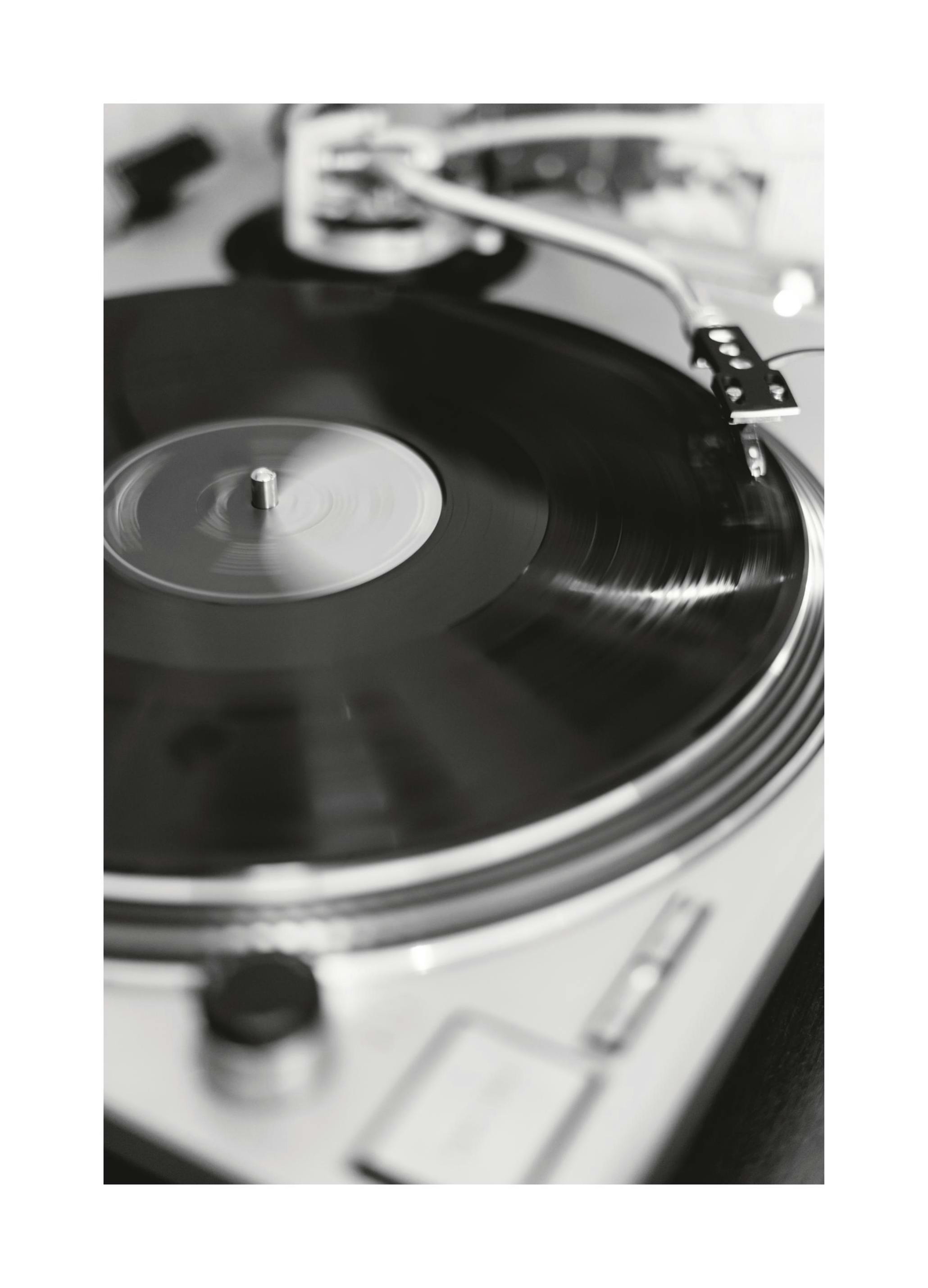 Vinyl Record Poster (30x40 cm) - Poster Store