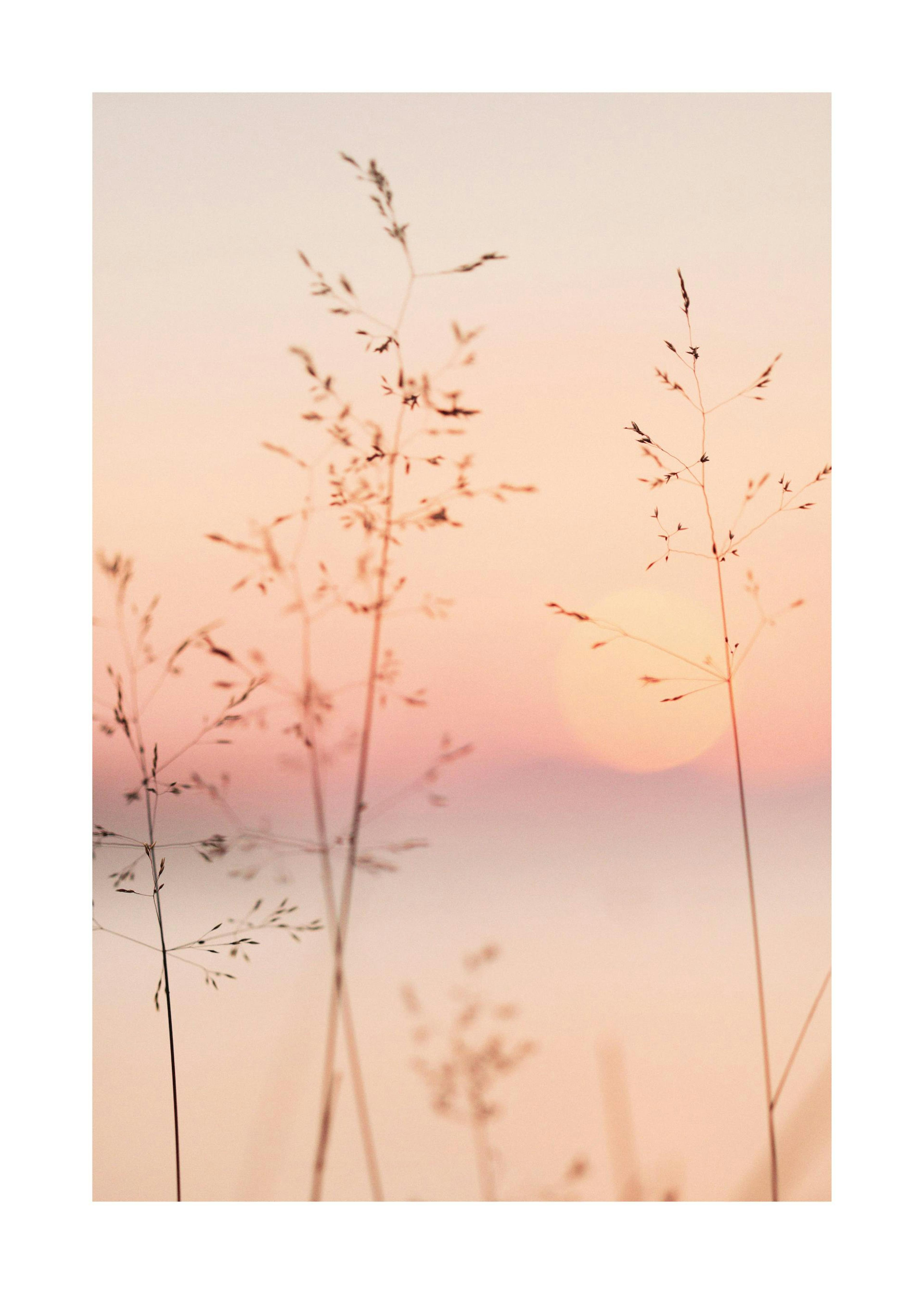Pastelkleurige Zonsondergang Poster 0