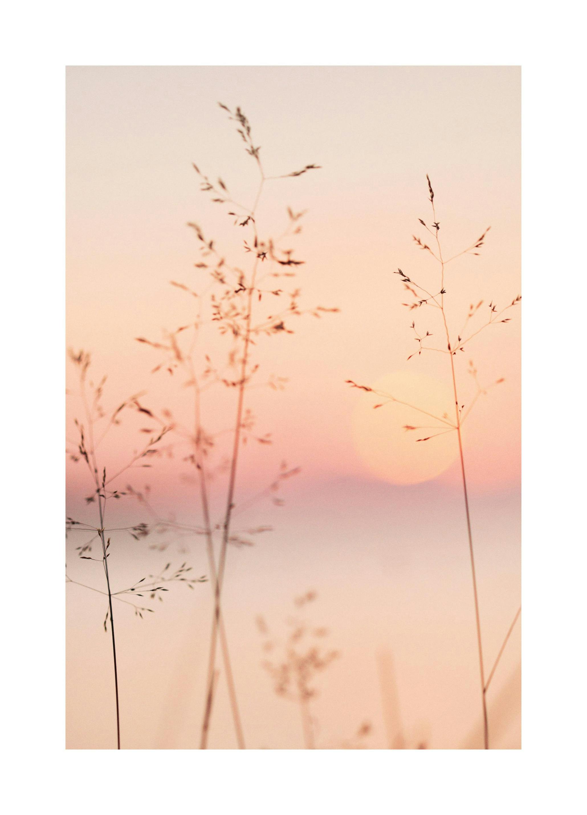 Pastell Solnedgang Poster (30x40 cm) - Poster Store