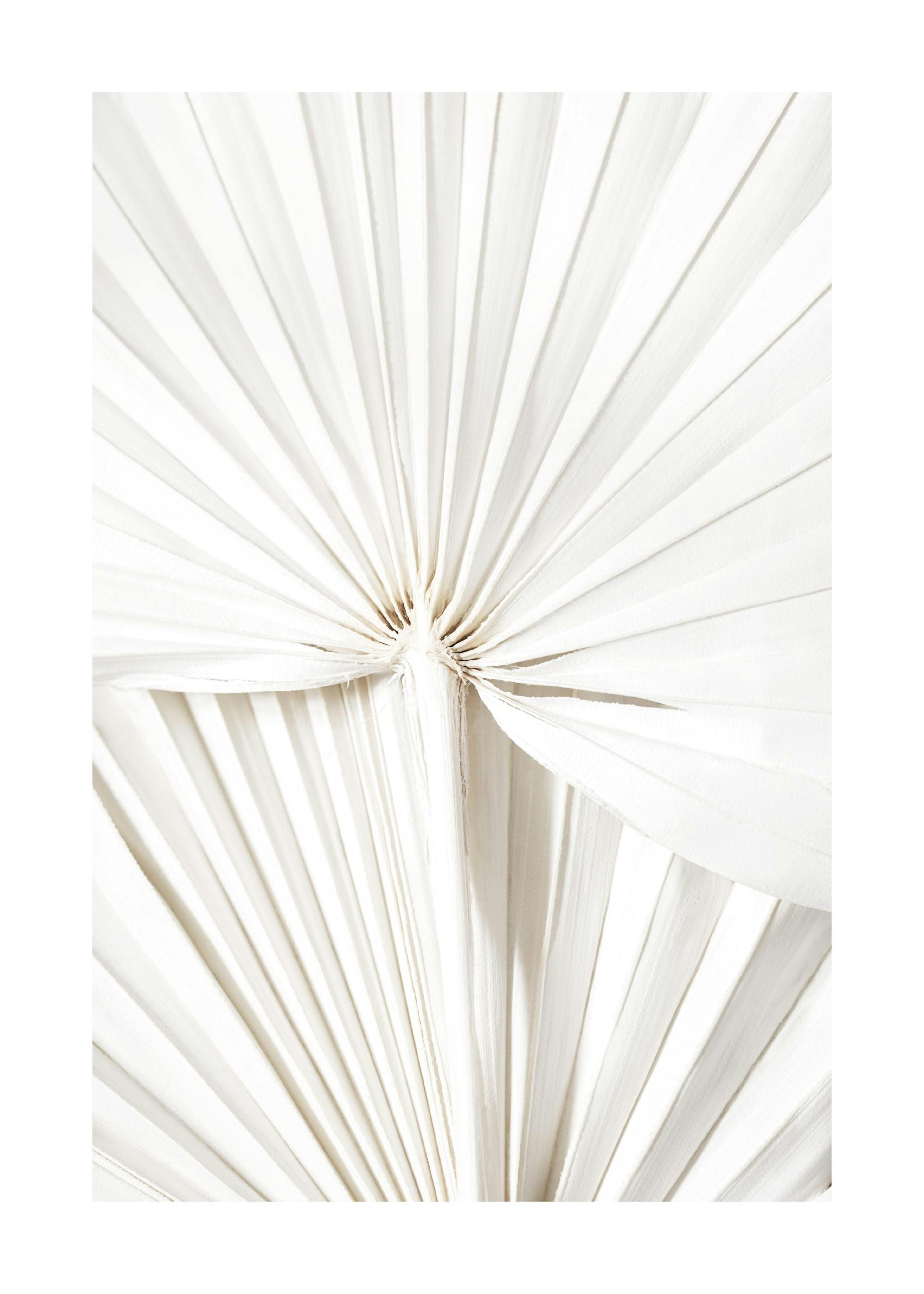 Feuilles Blanches Poster thumbnail
