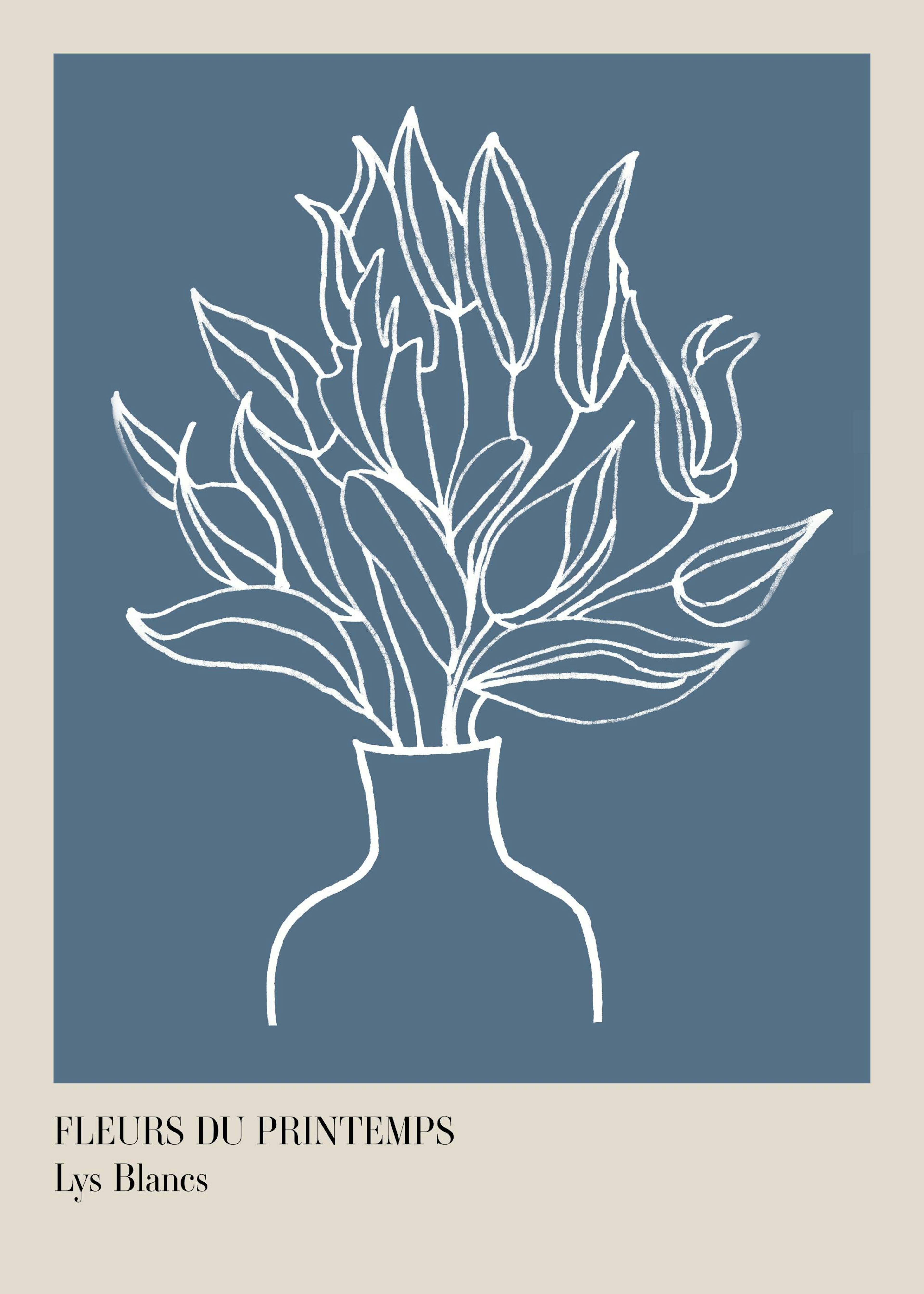 Lys Blancs Poster 0