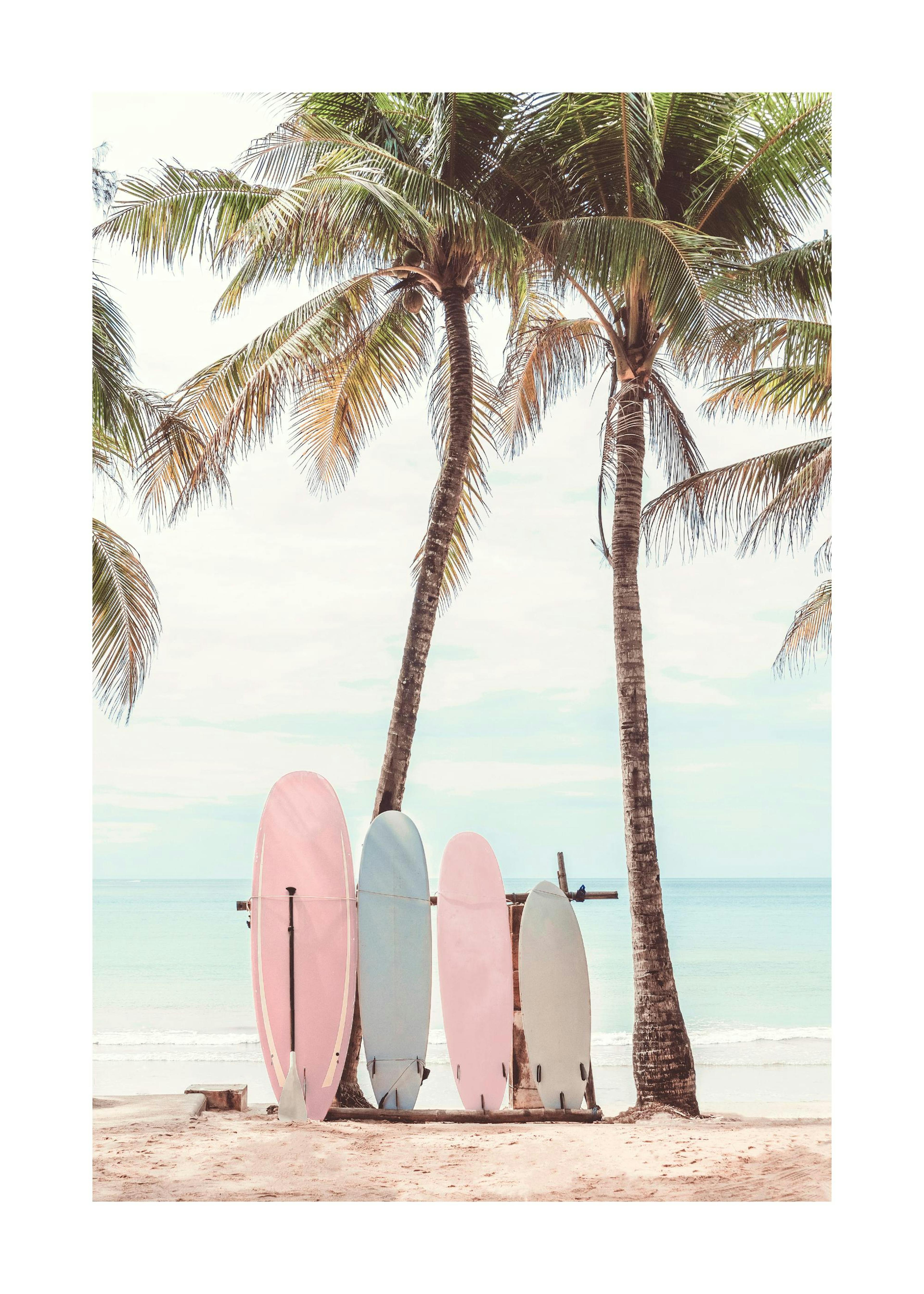 Surffilaudat Rannalla Juliste 0
