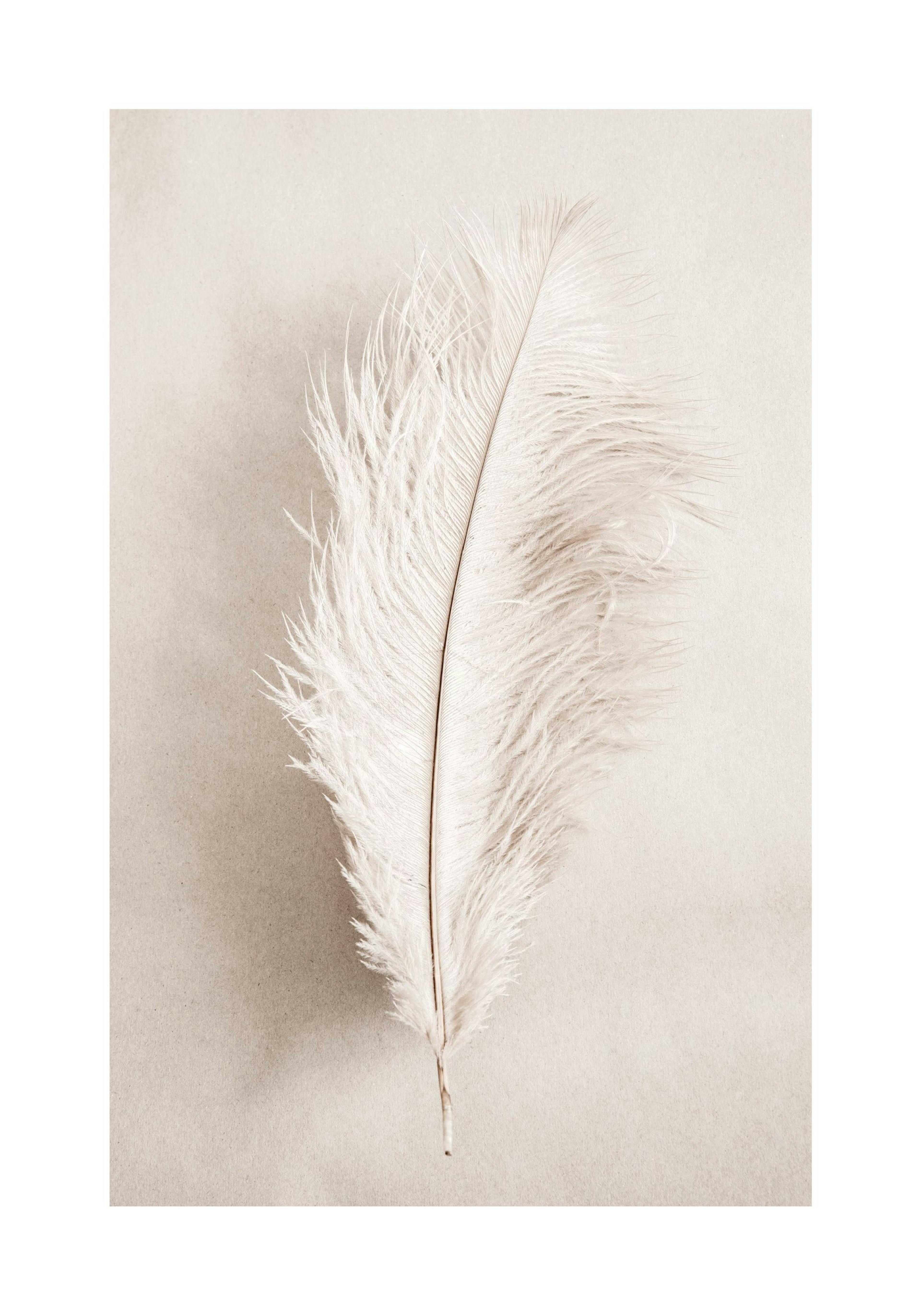 As a Feather Poster thumbnail