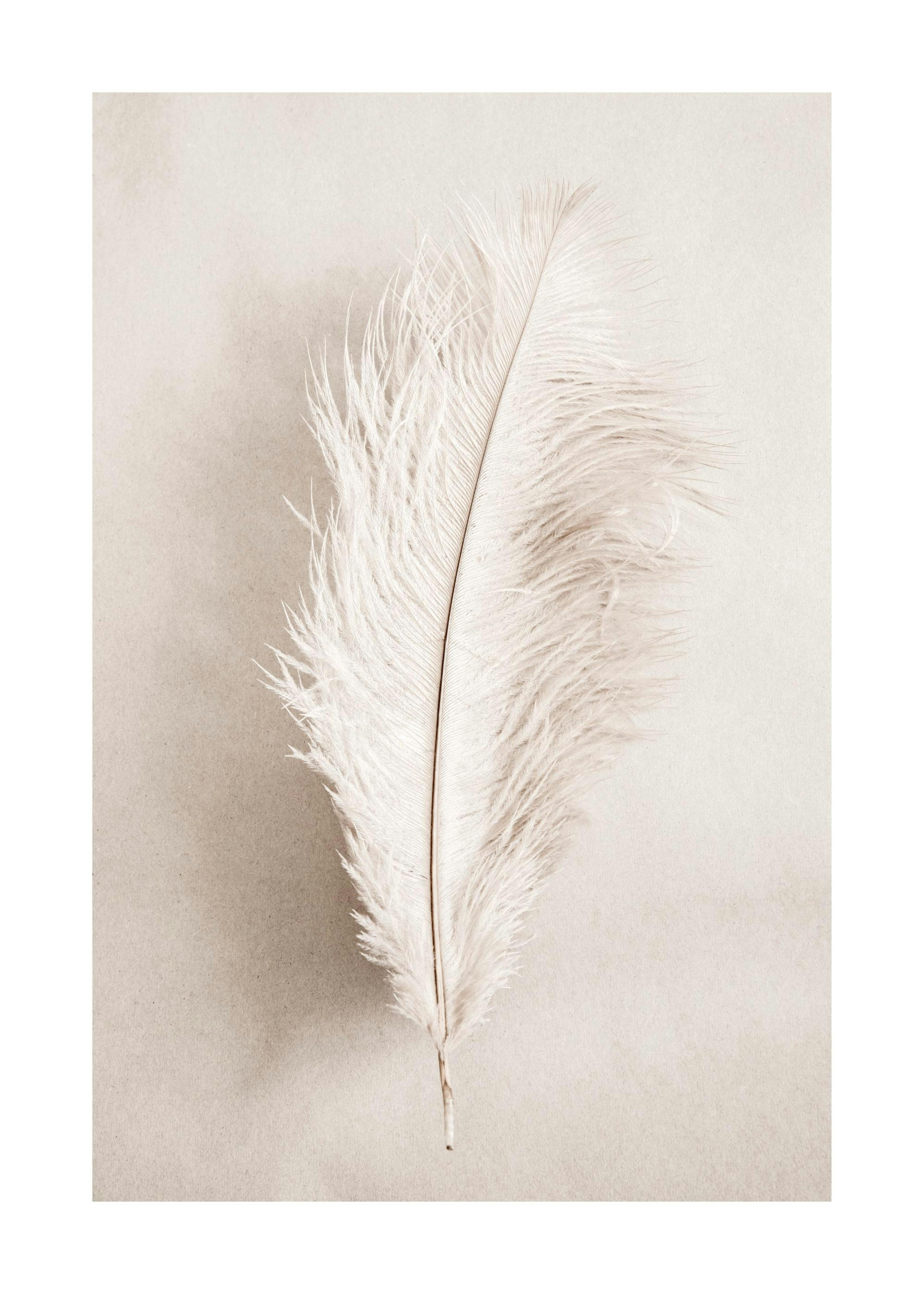 As a Feather Poster 0