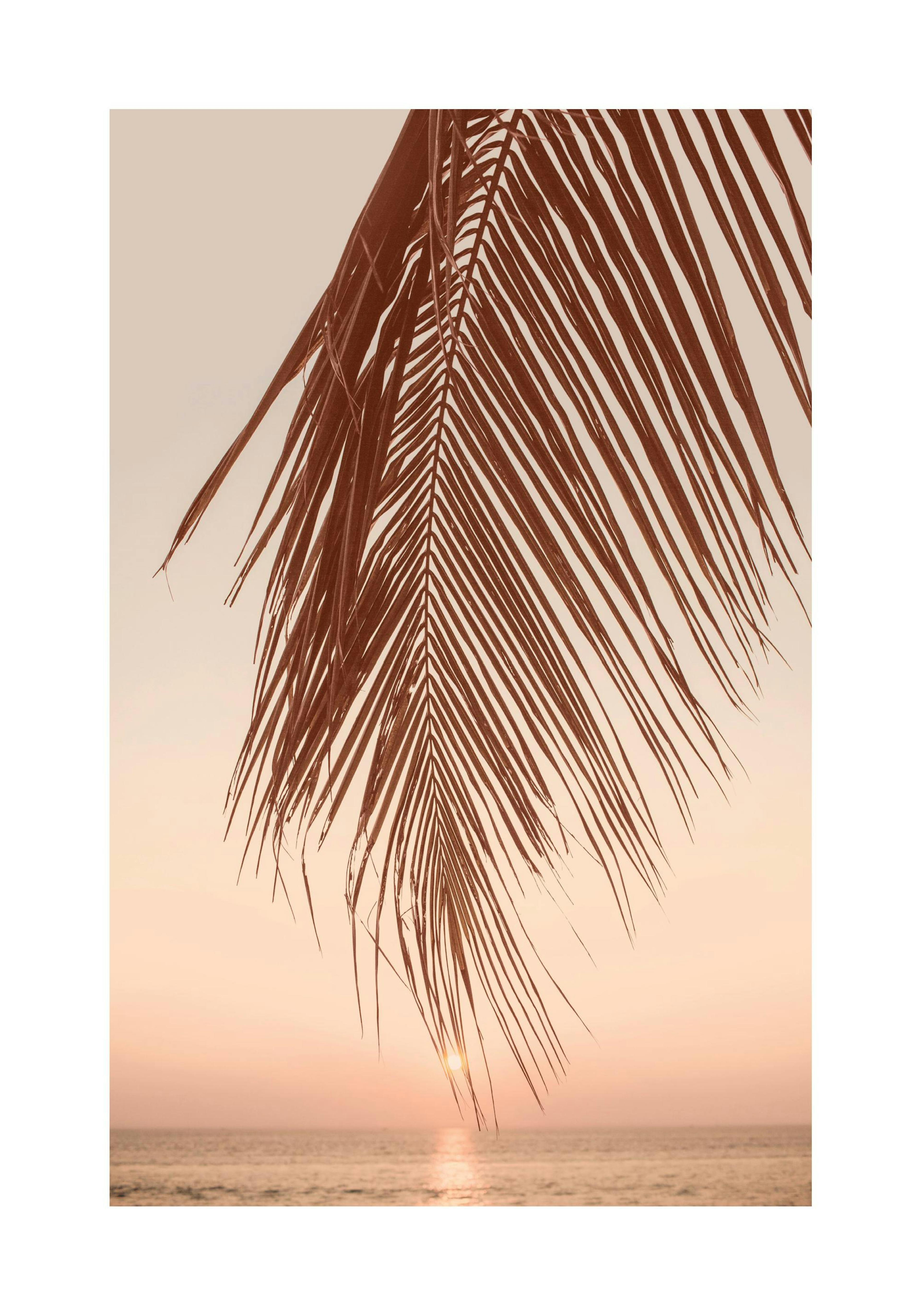 Sunset Palm Leaf Poster thumbnail