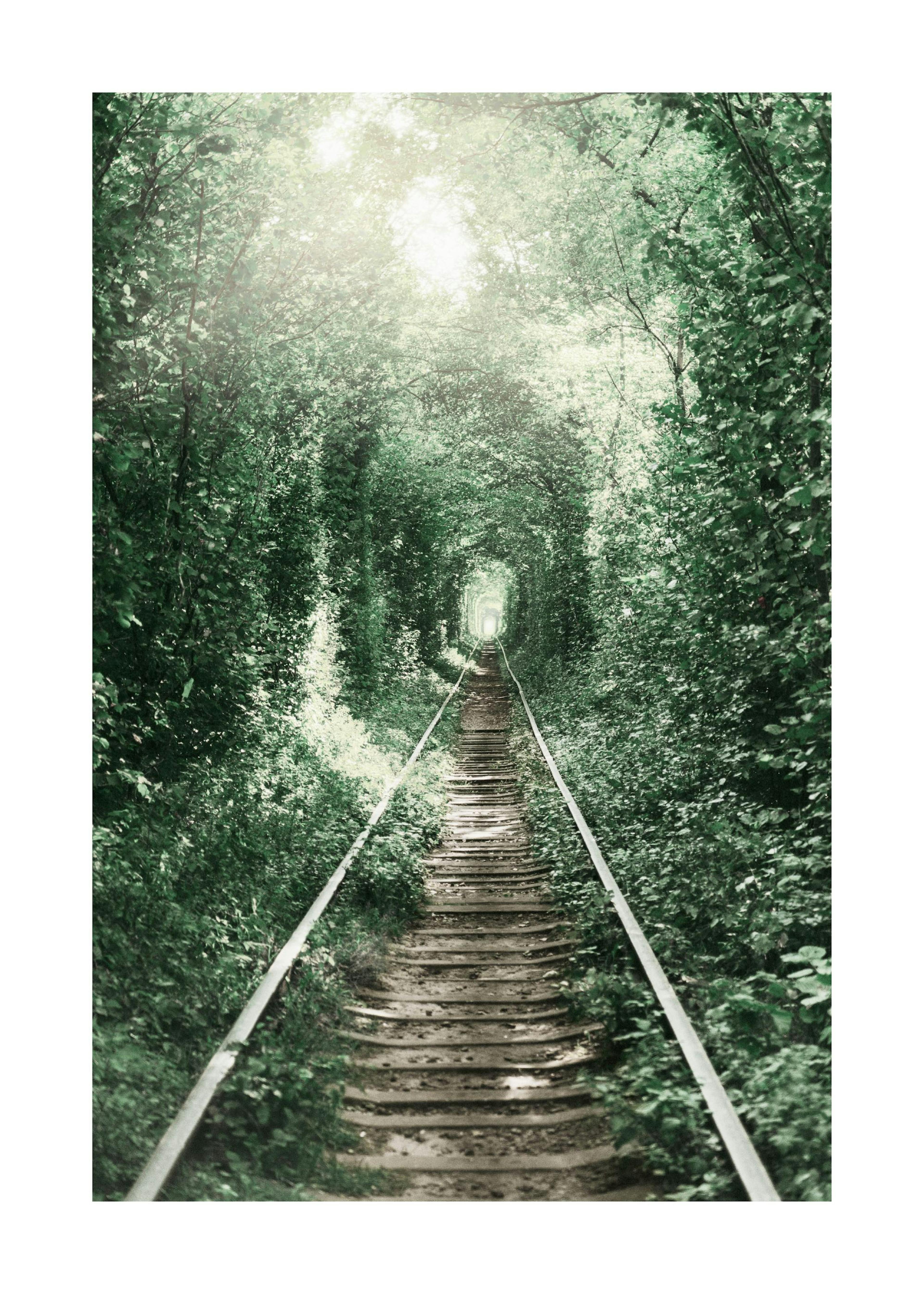 Tunnel of Love Poster 0