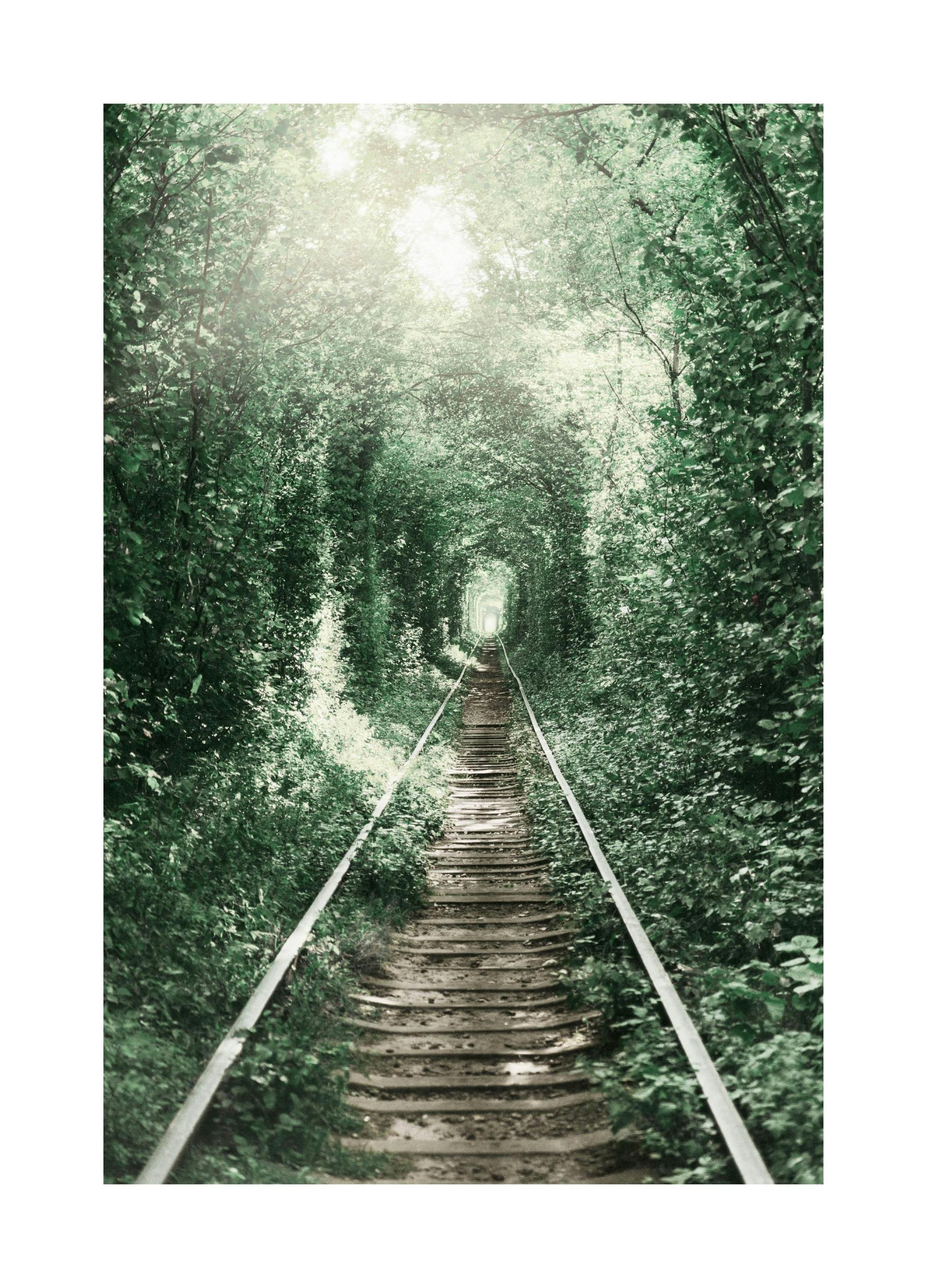 Tunnel of Love Poster (21x30 cm) - Poster Store