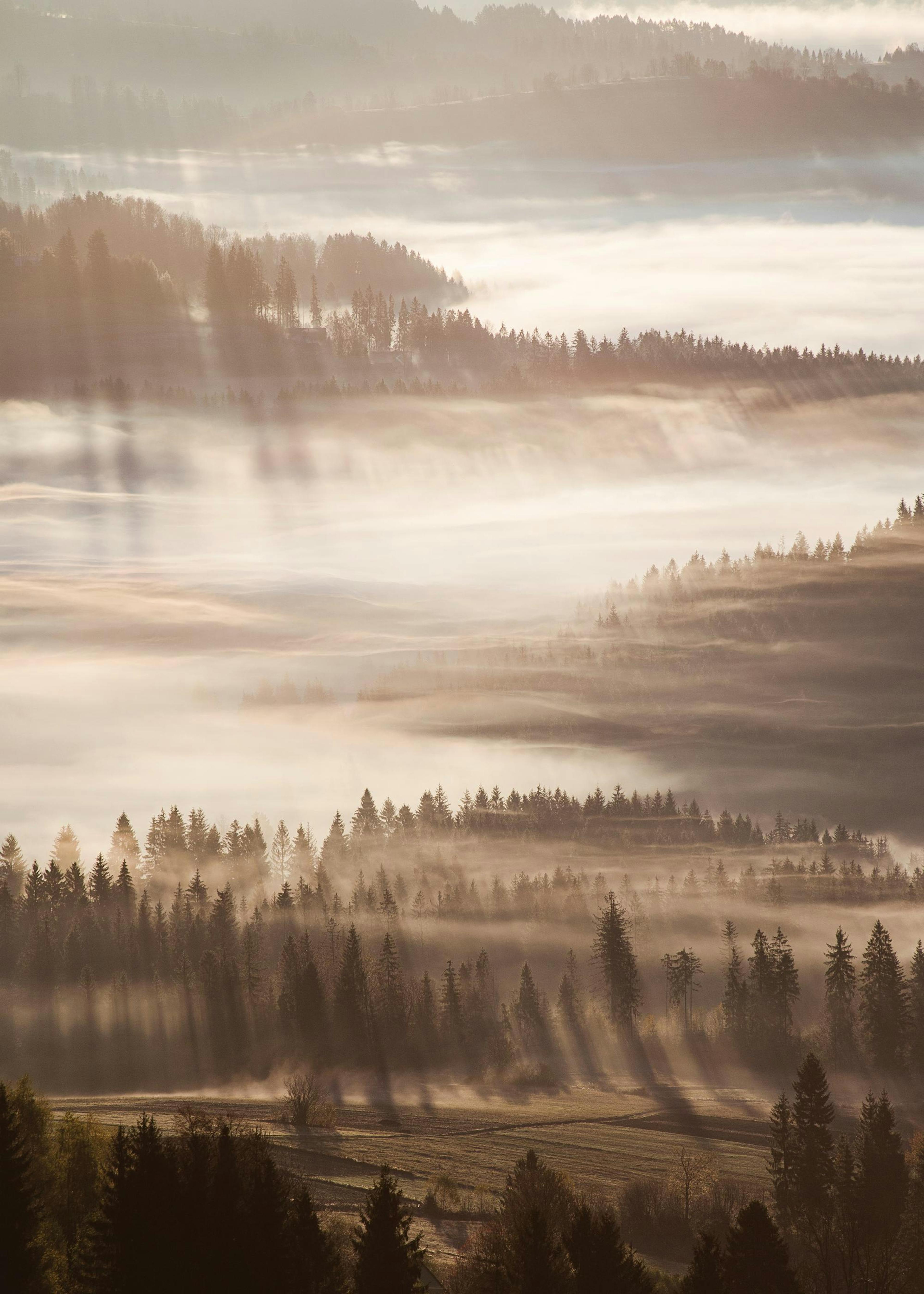 Sun Rays Through Mist Poster 0