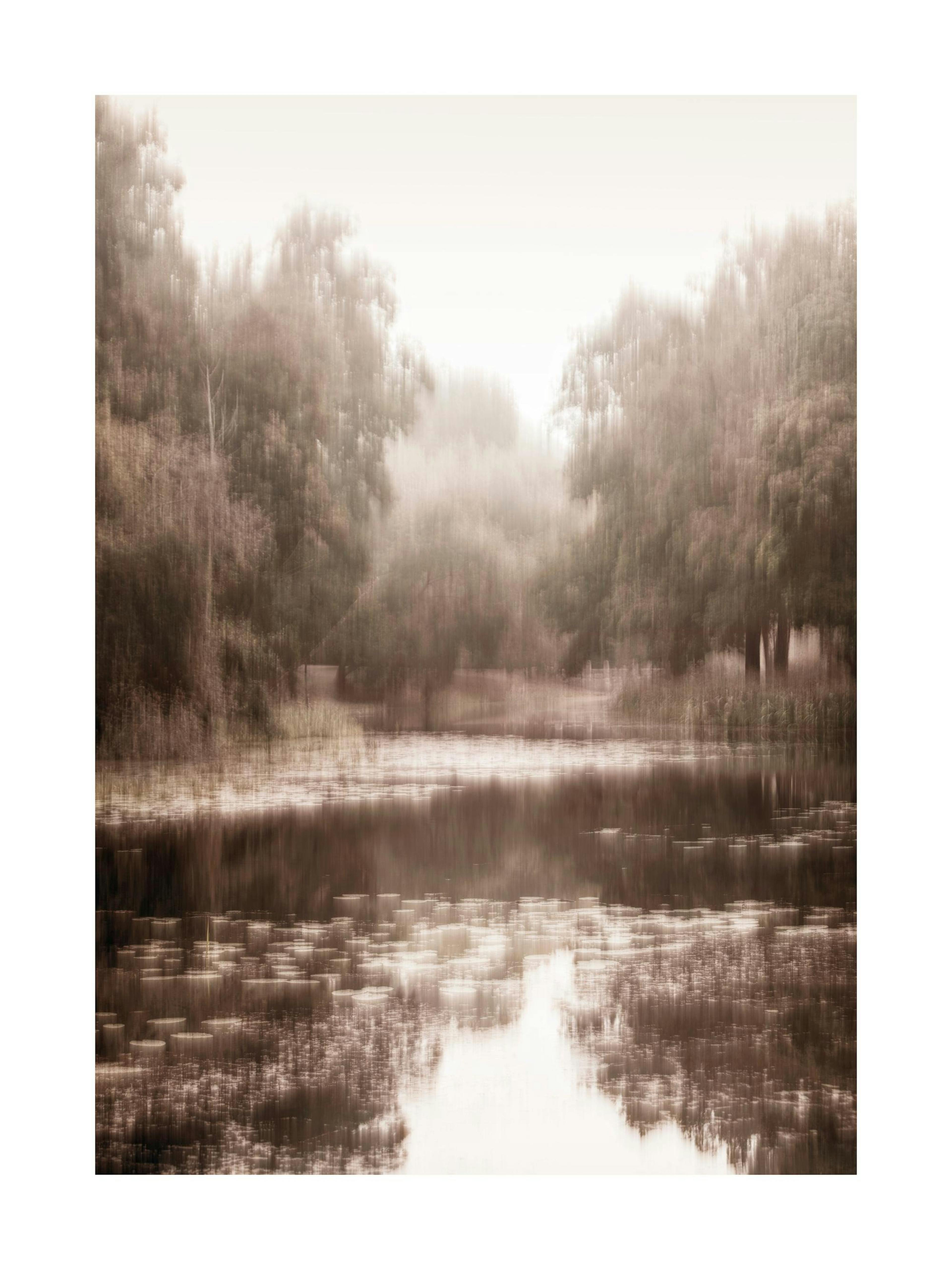 Reflet de Forêt Brumeuse Poster thumbnail