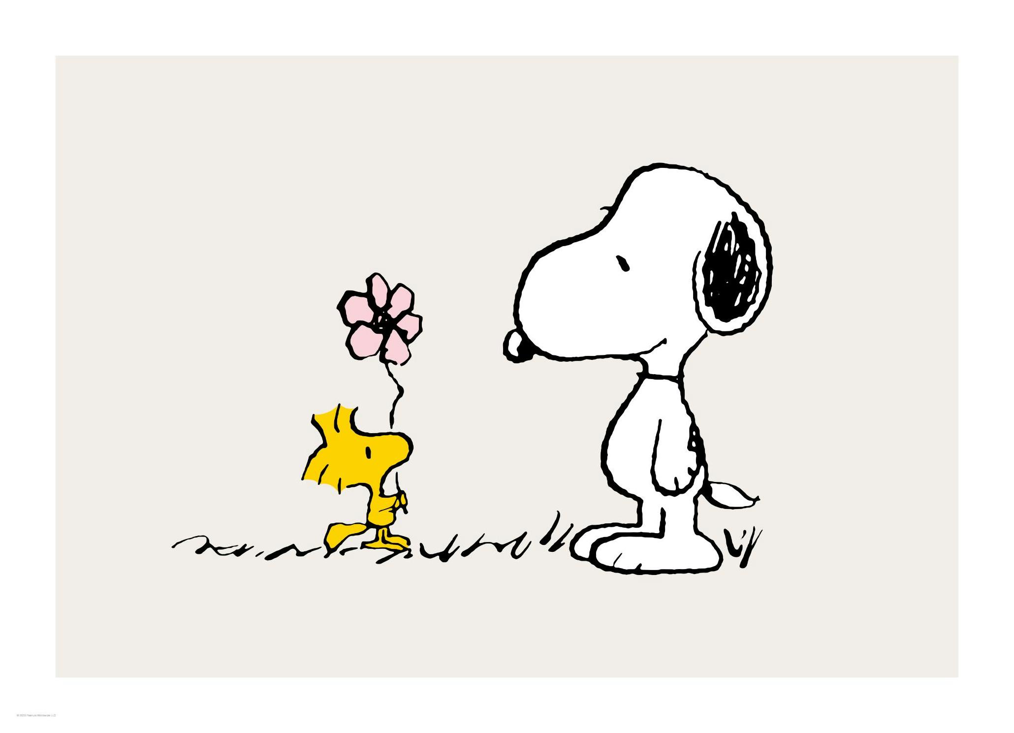 Snoopy and Woodstock Poster (30x40 cm) - Poster Store