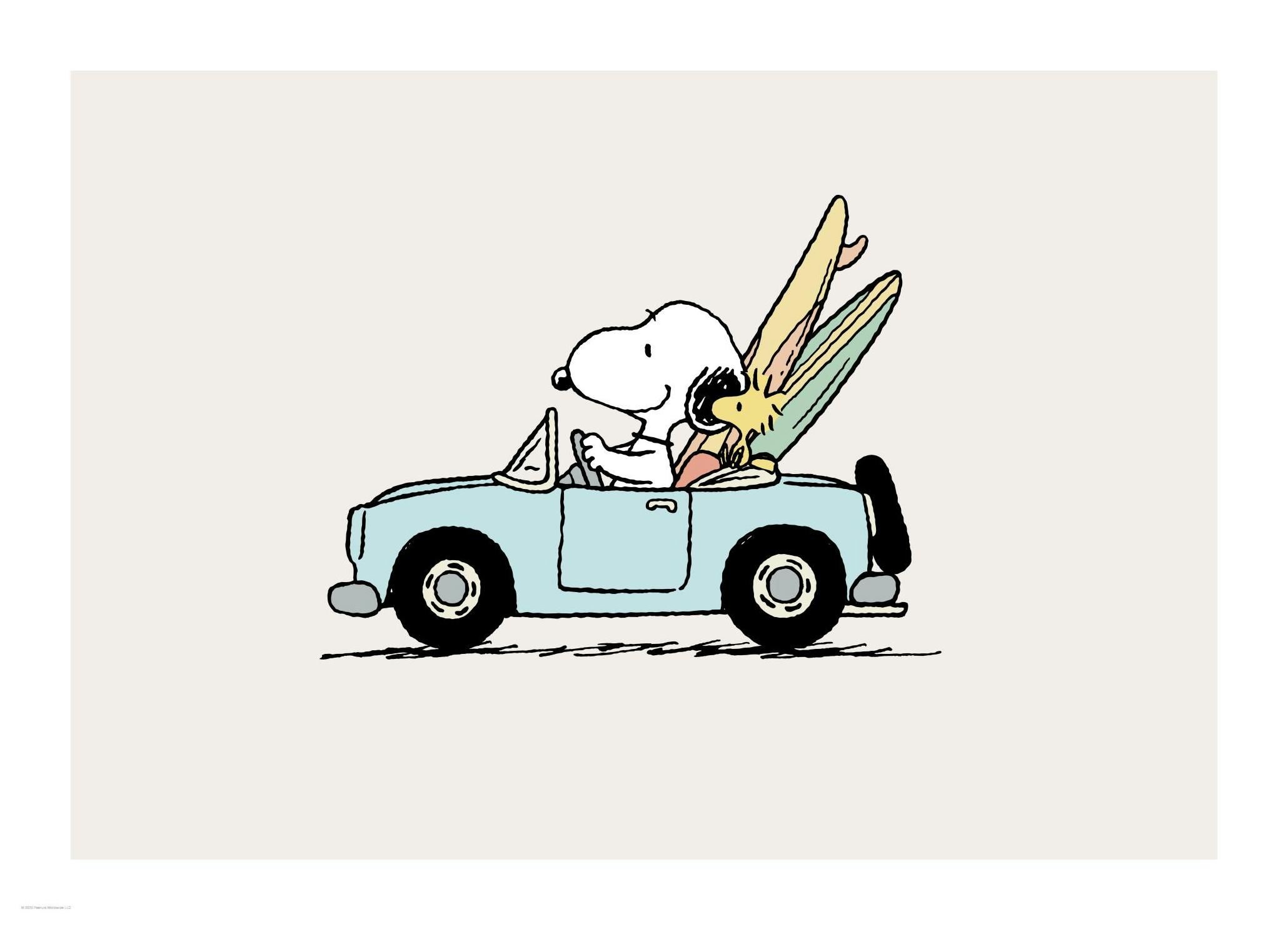 Snoopy conduit Affiche - Poster Store