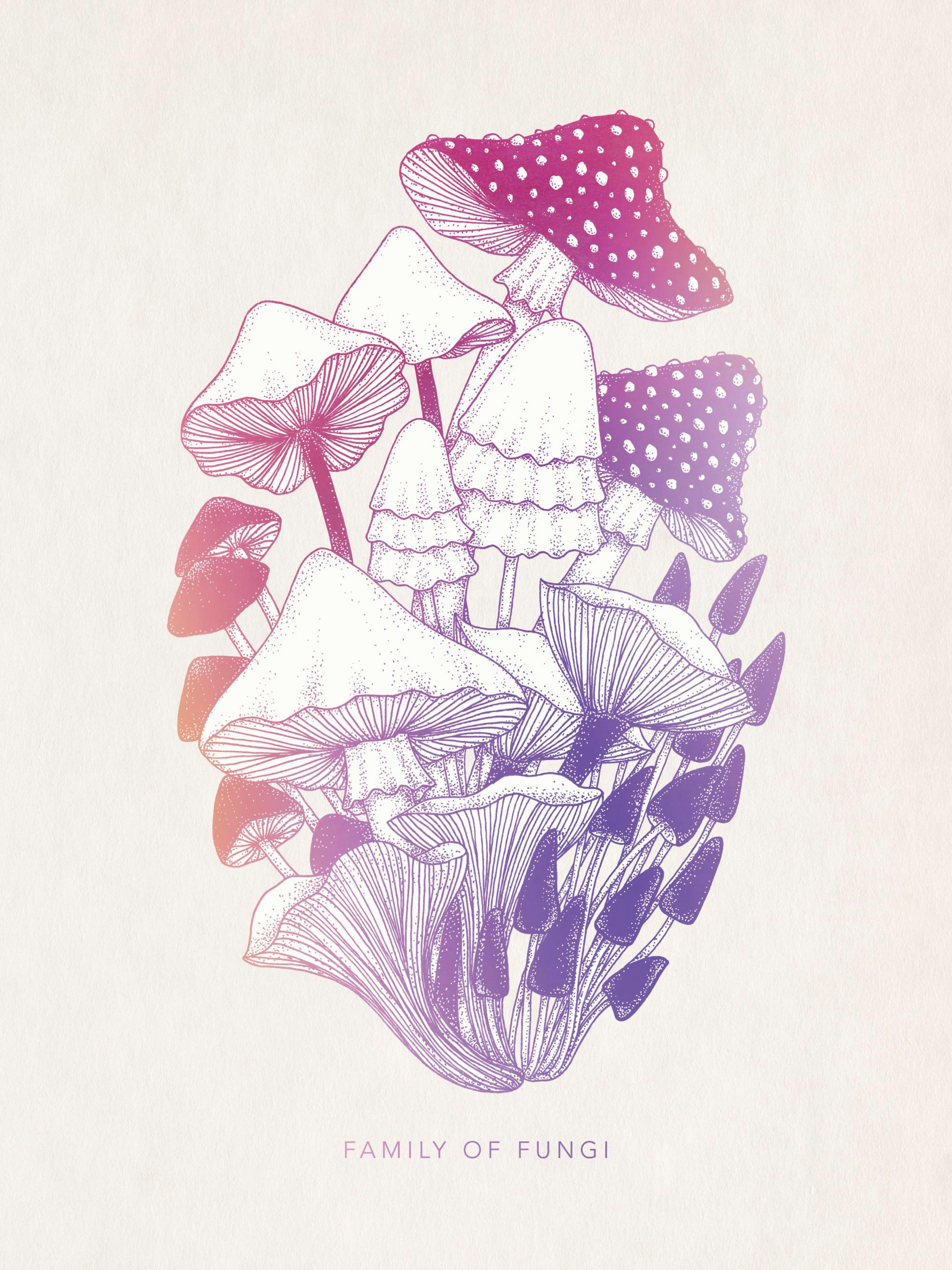 Family of Fungi Poster thumbnail