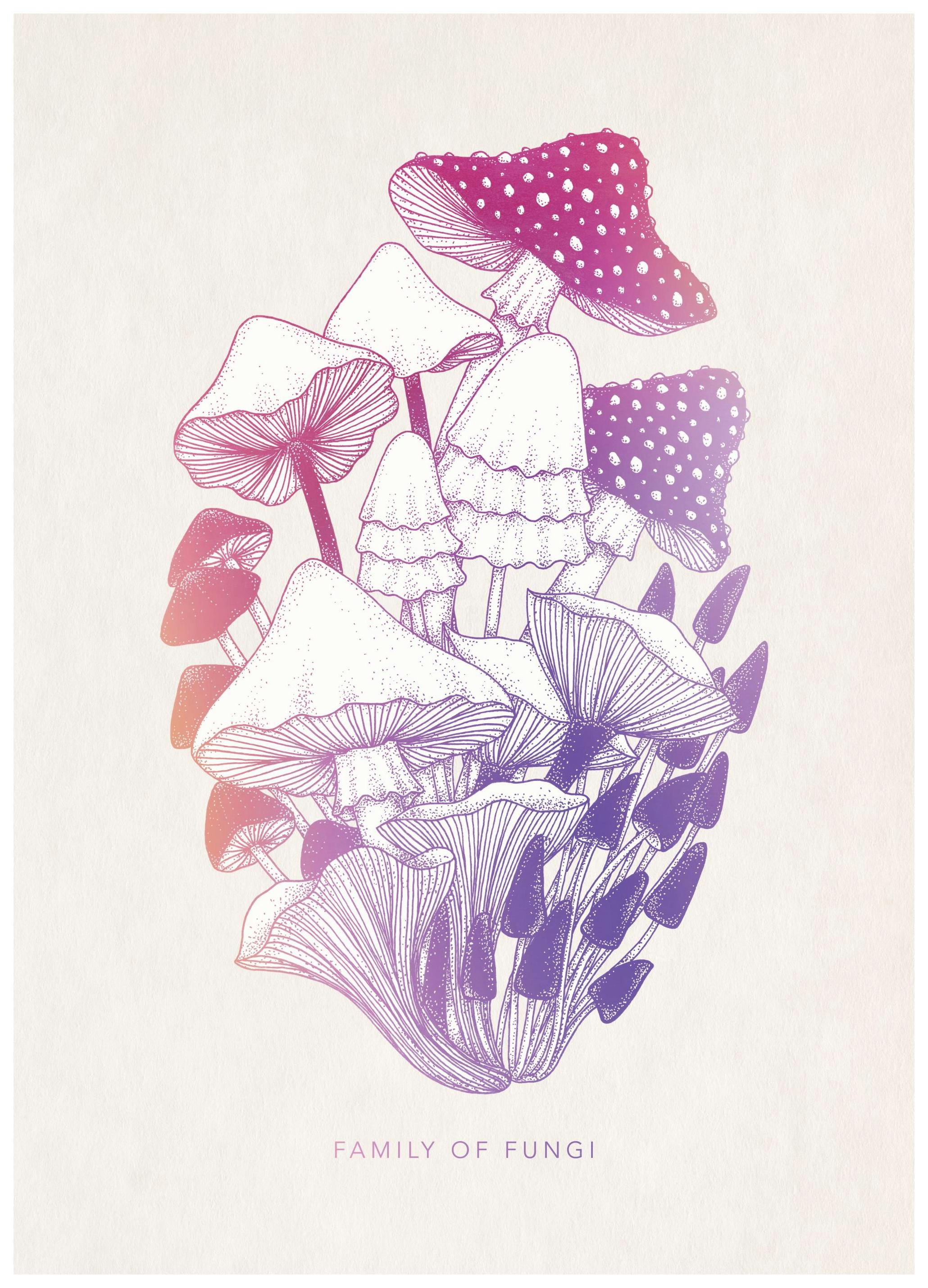 Familie van Paddenstoelen Poster (50x70 cm) - Poster Store