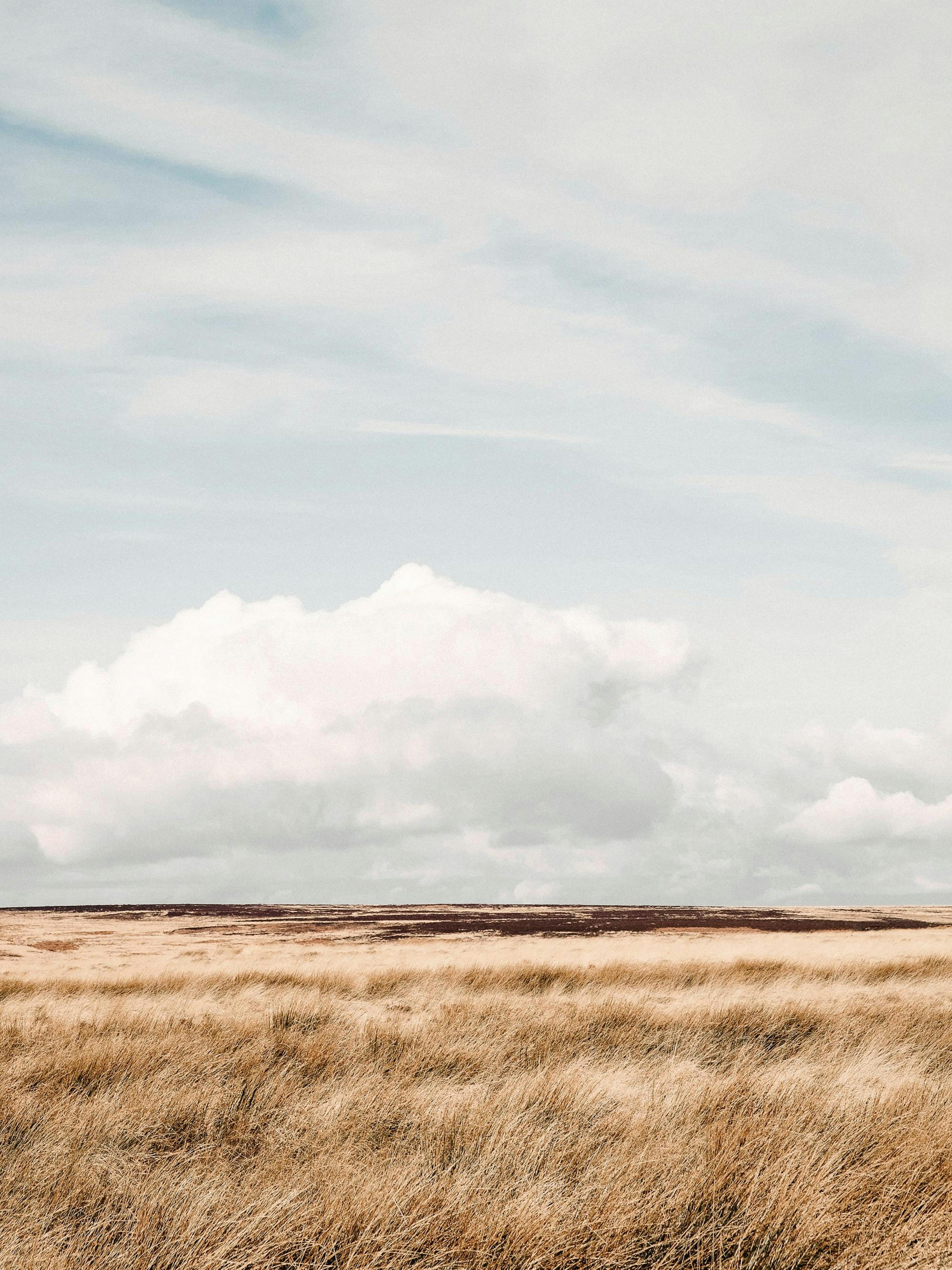 Moorland Poster thumbnail