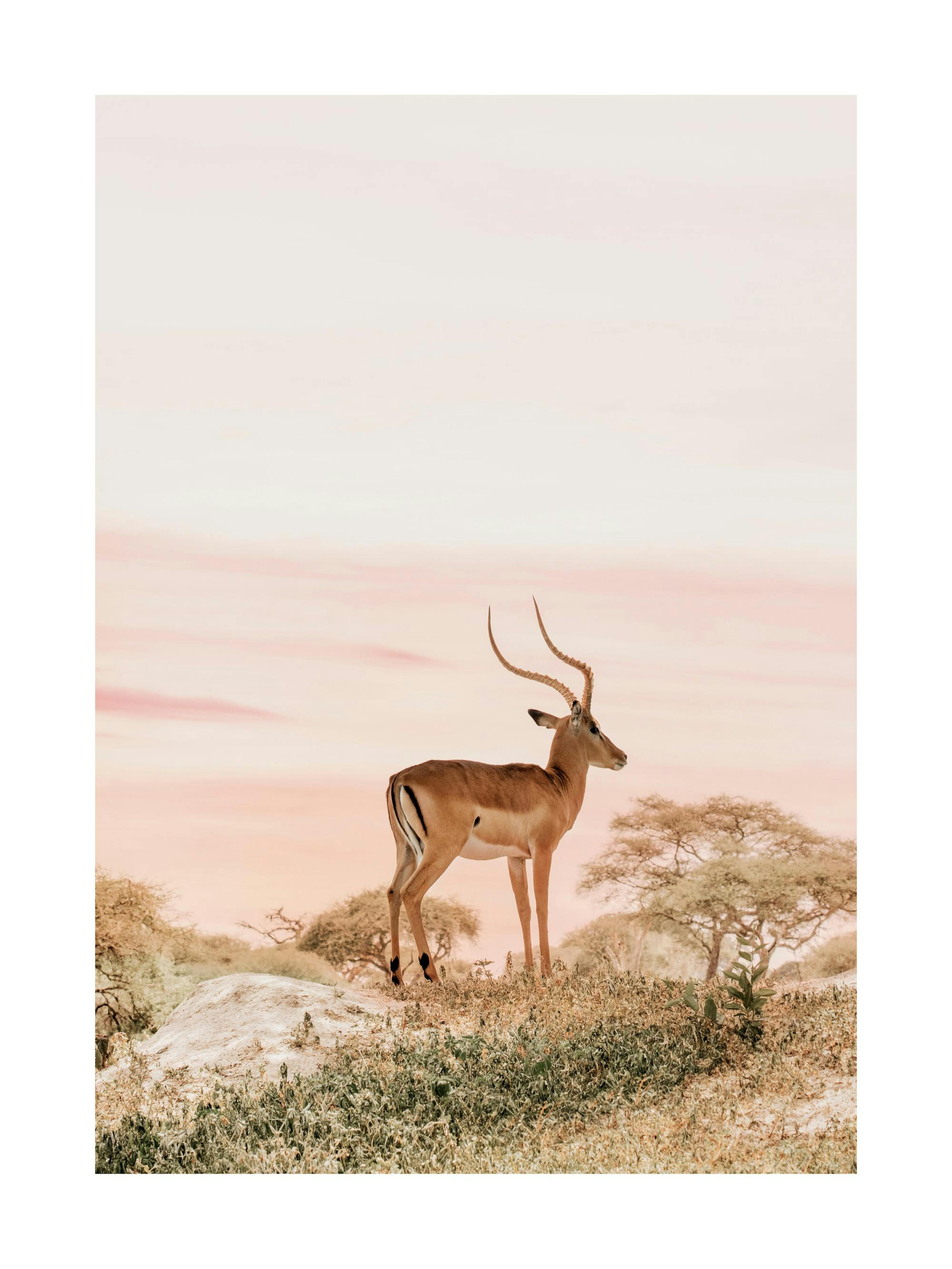Daydreaming Impala Poster thumbnail