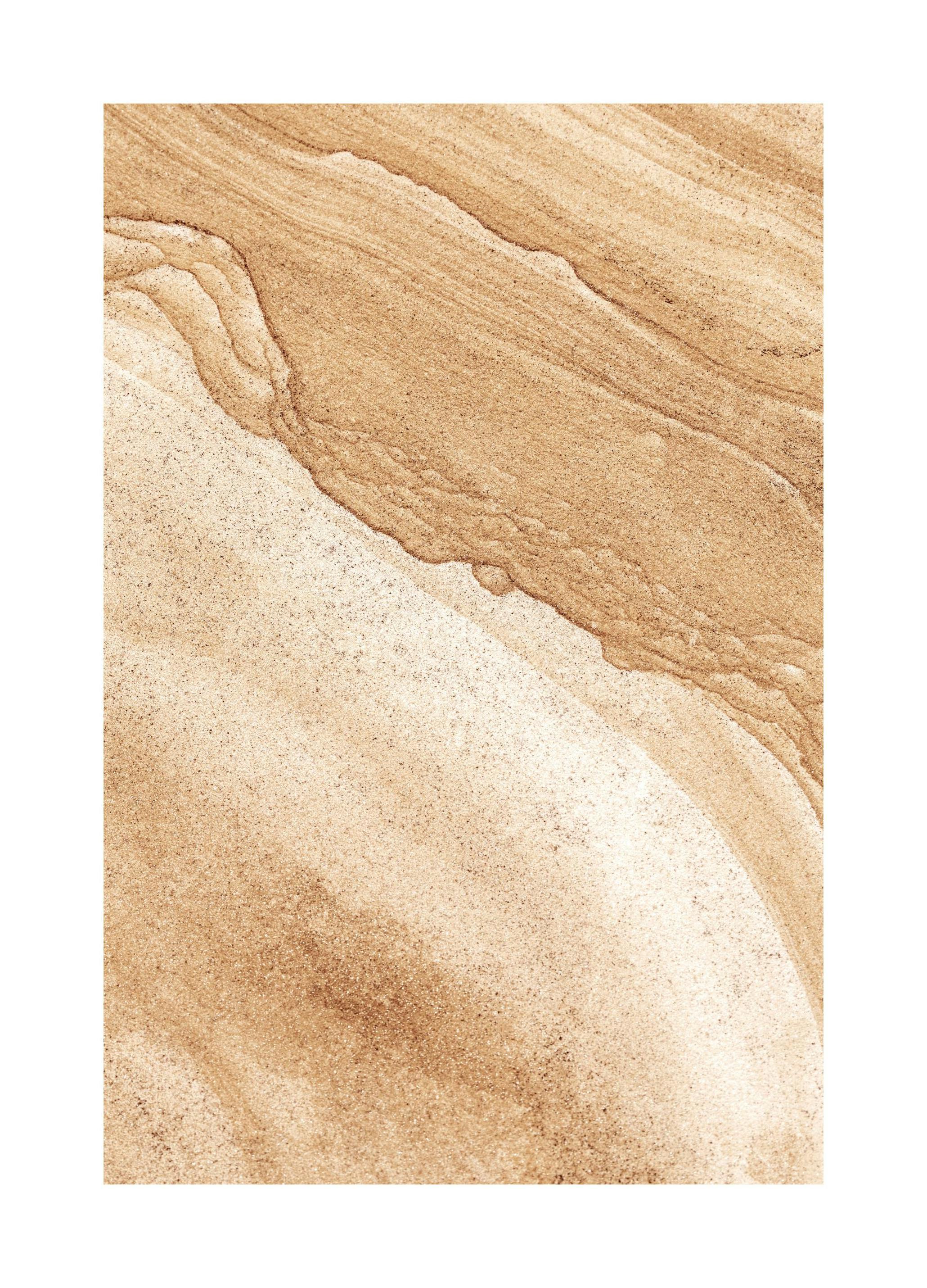 Afrikansk Steinflate Plakat (30x40 cm) - Poster Store