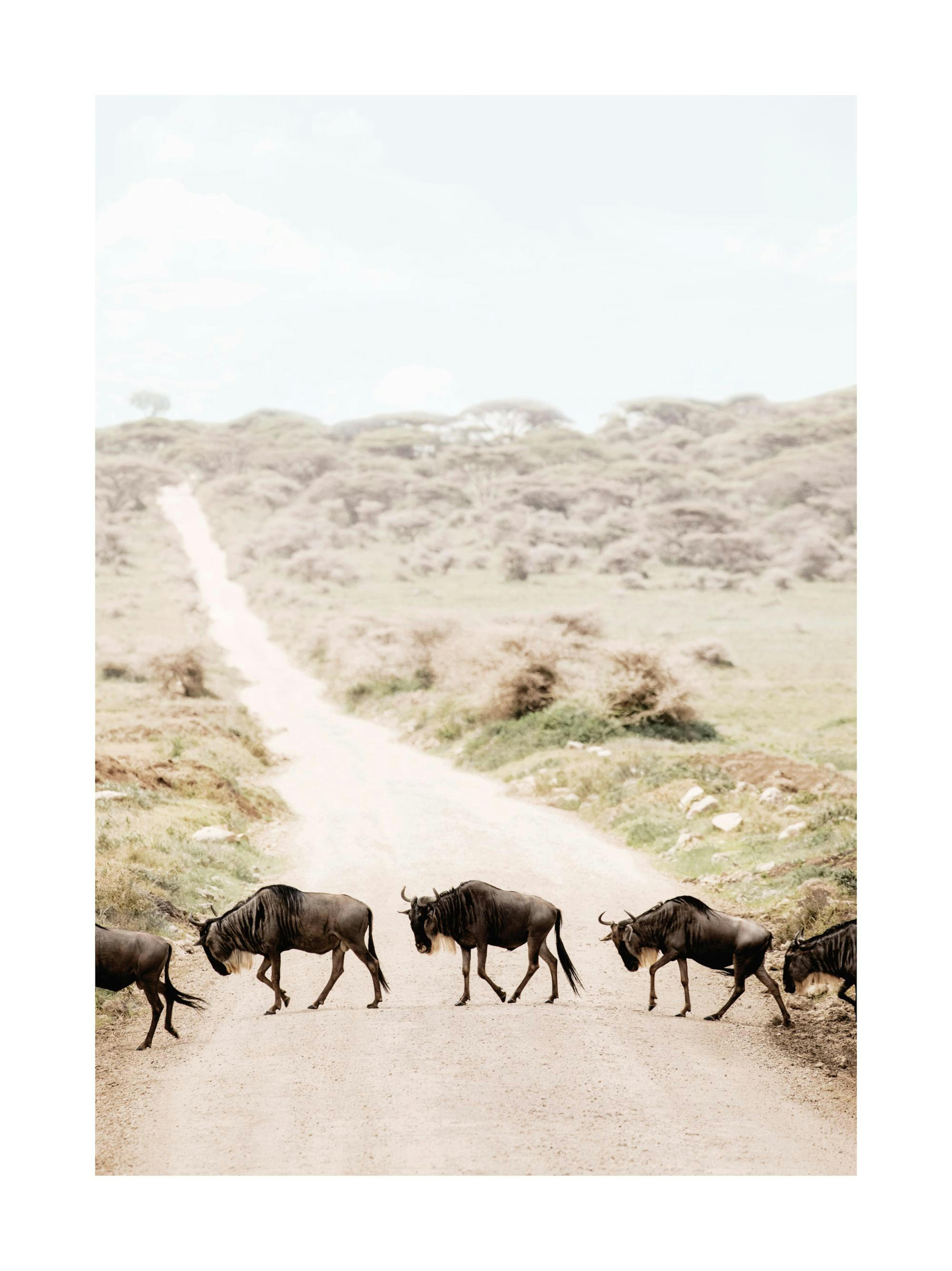Crossing Wildebeests​ Poster thumbnail