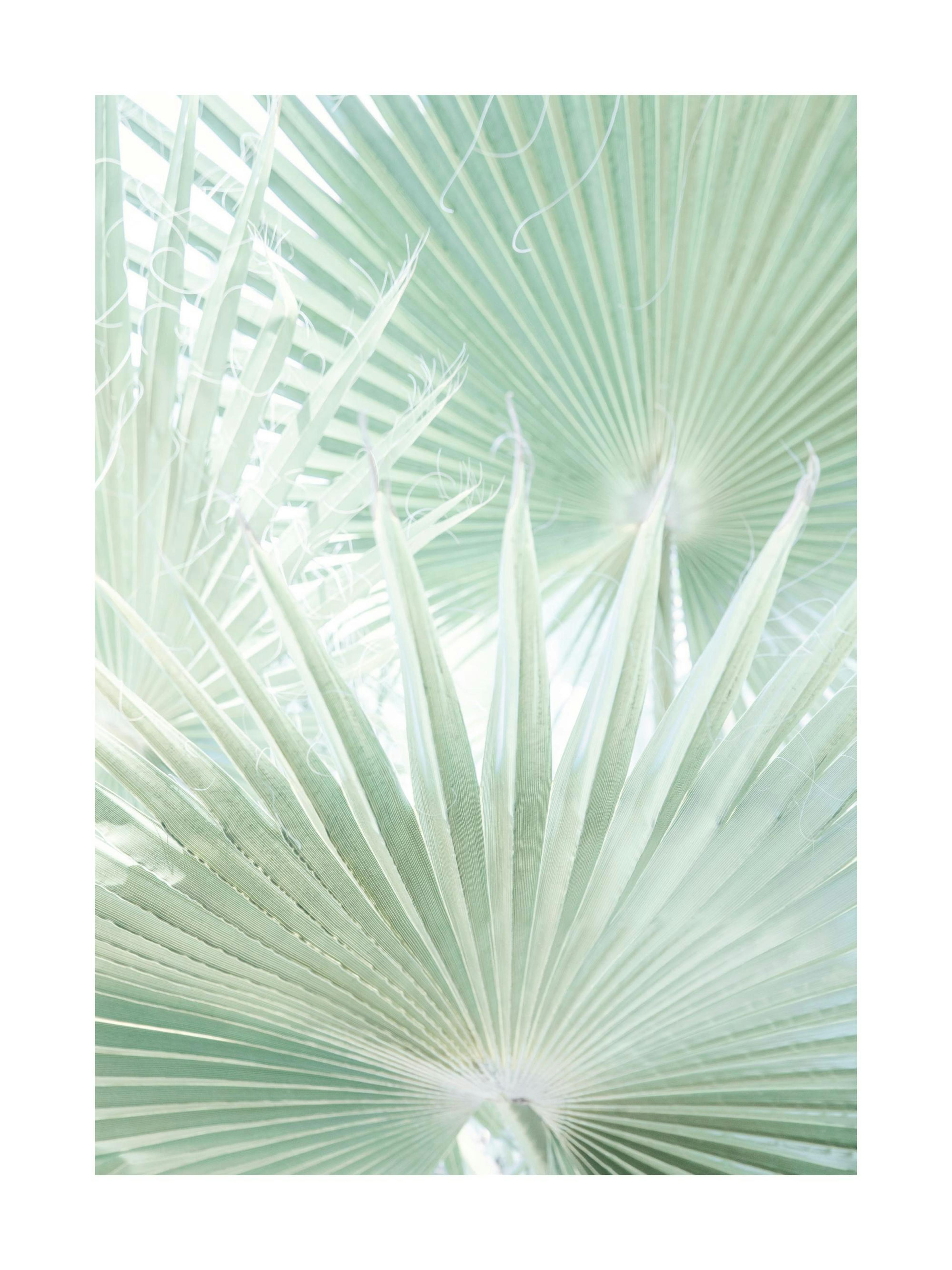 Light Green Leaves Poster thumbnail
