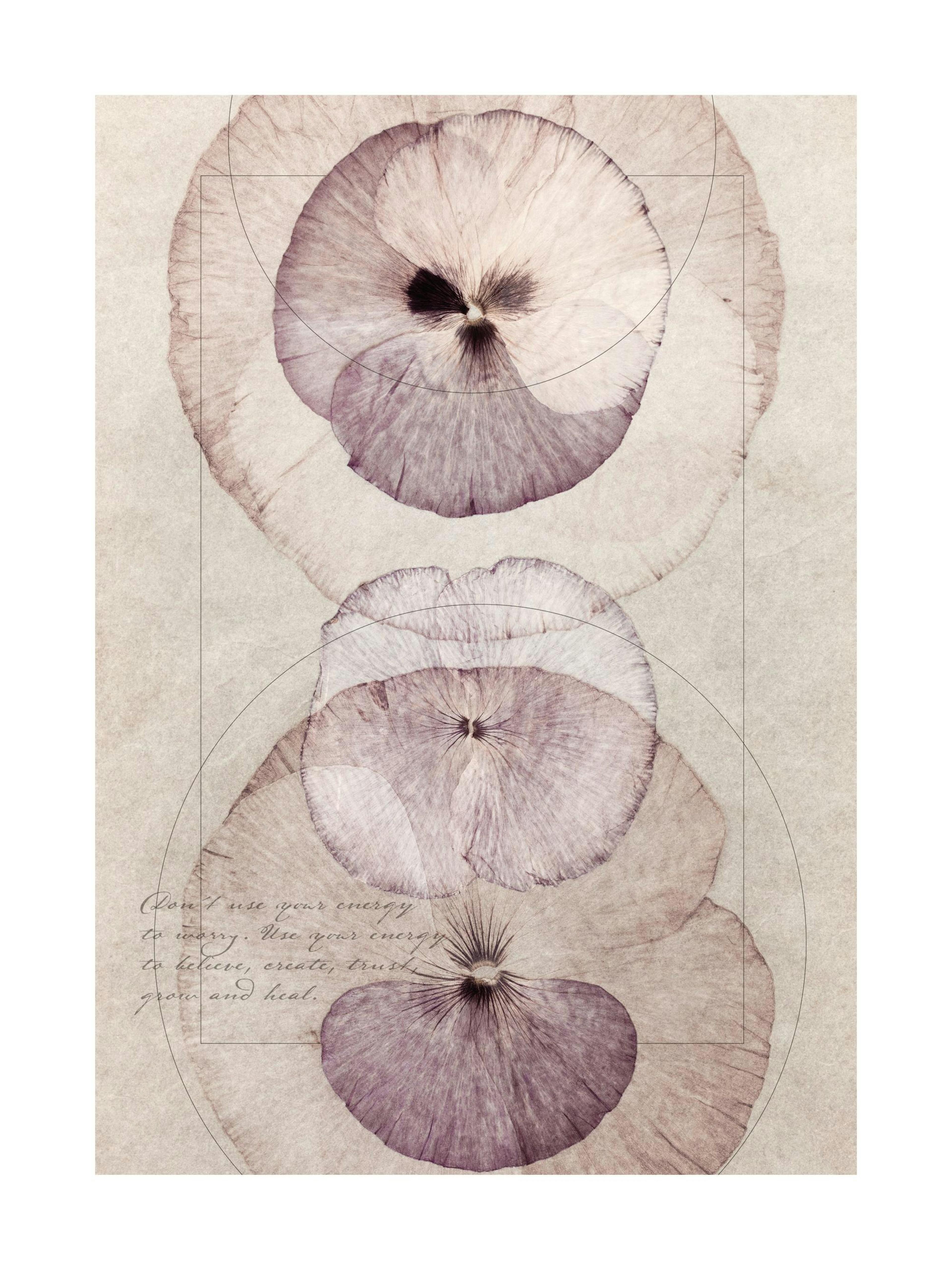 Énergie Florale Poster thumbnail