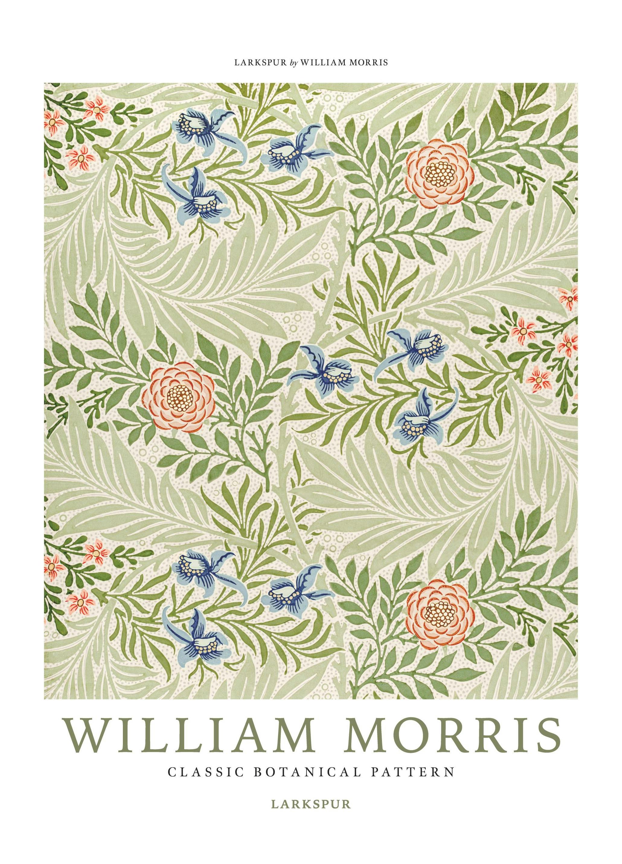 William Morris - Larkspur No4 Poster (30x40 cm) - Poster Store