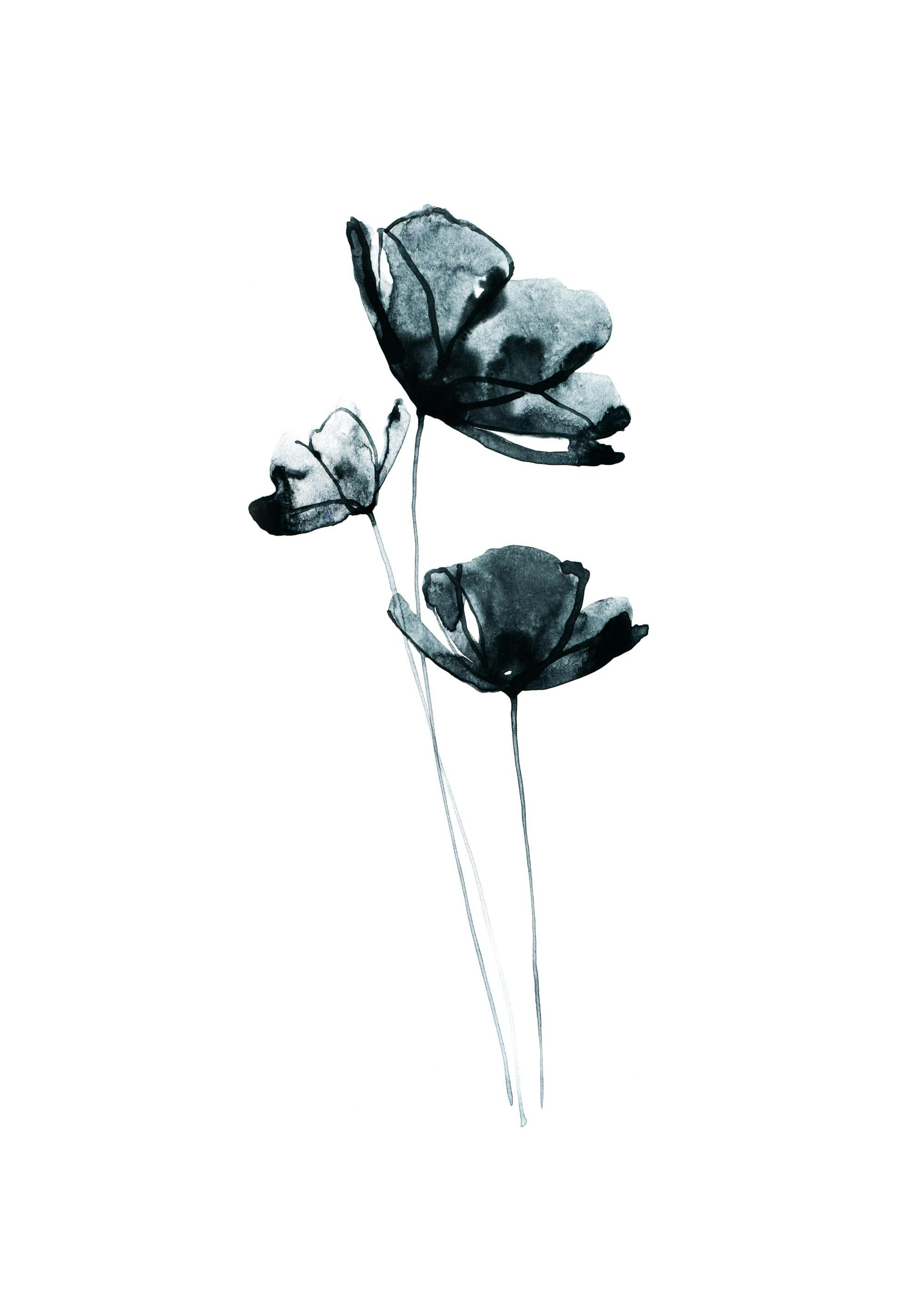 Dark Flowers Poster 0
