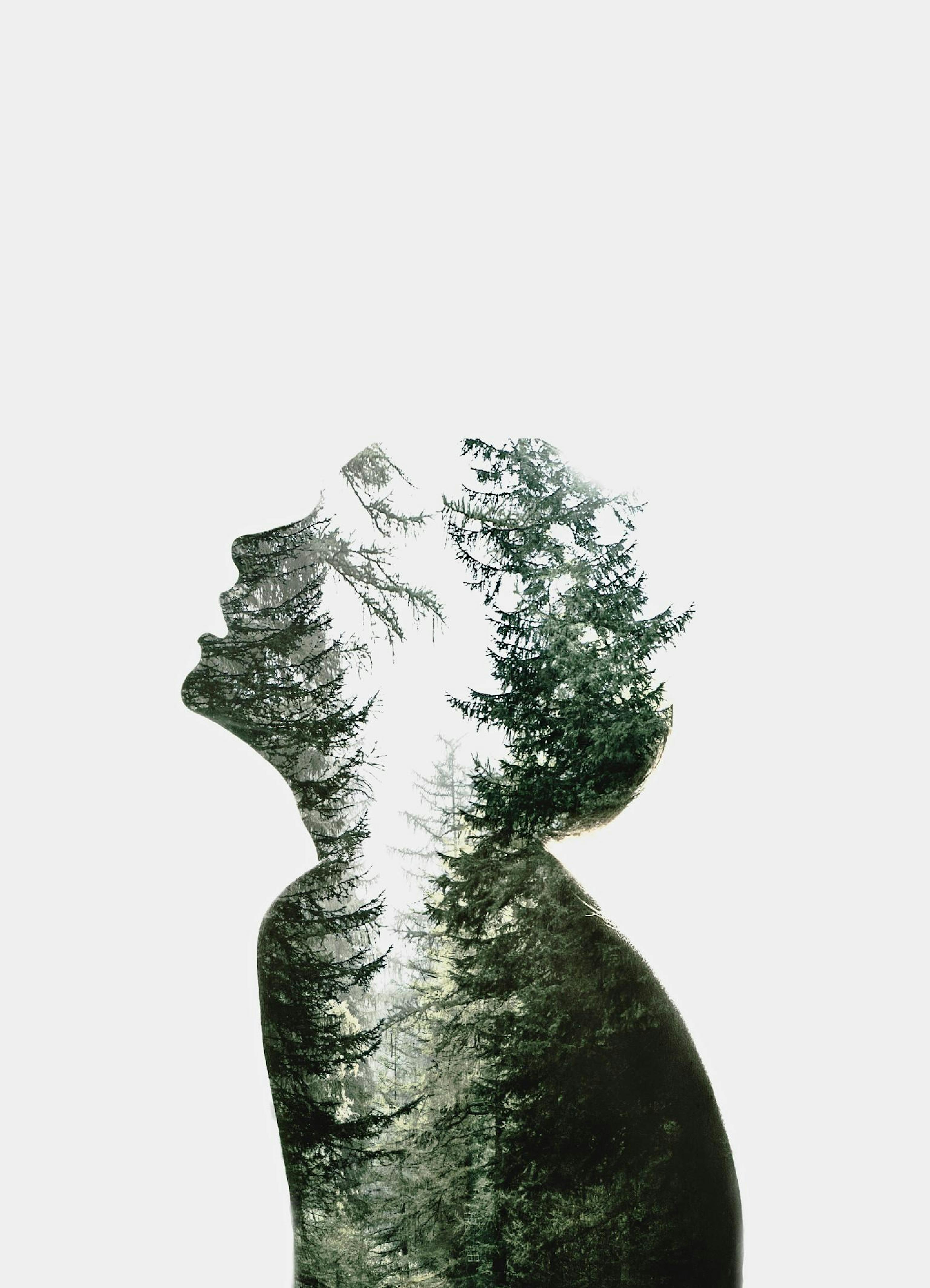 Dreams of Nature Poster thumbnail