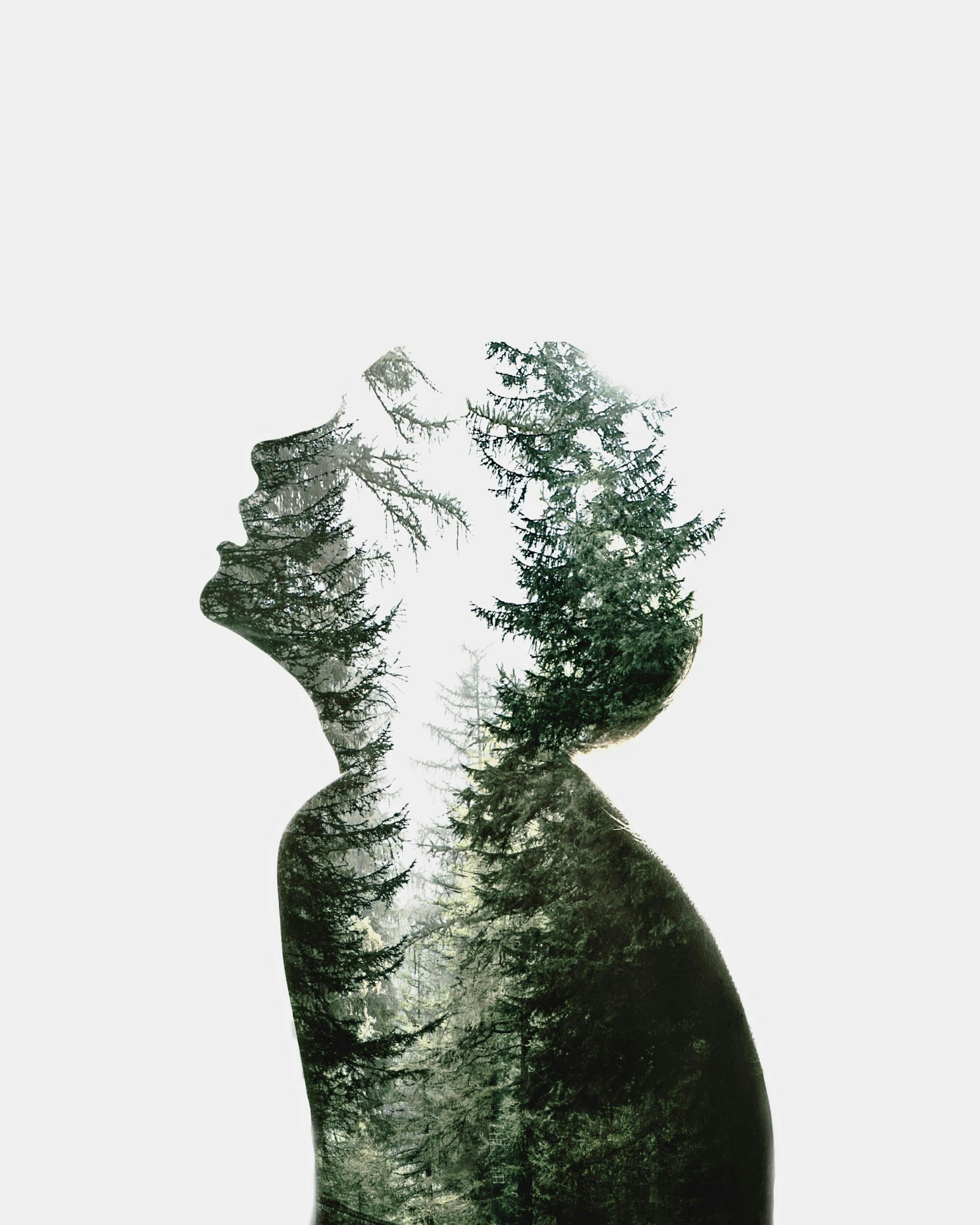 Dreams of Nature. Affiche 0