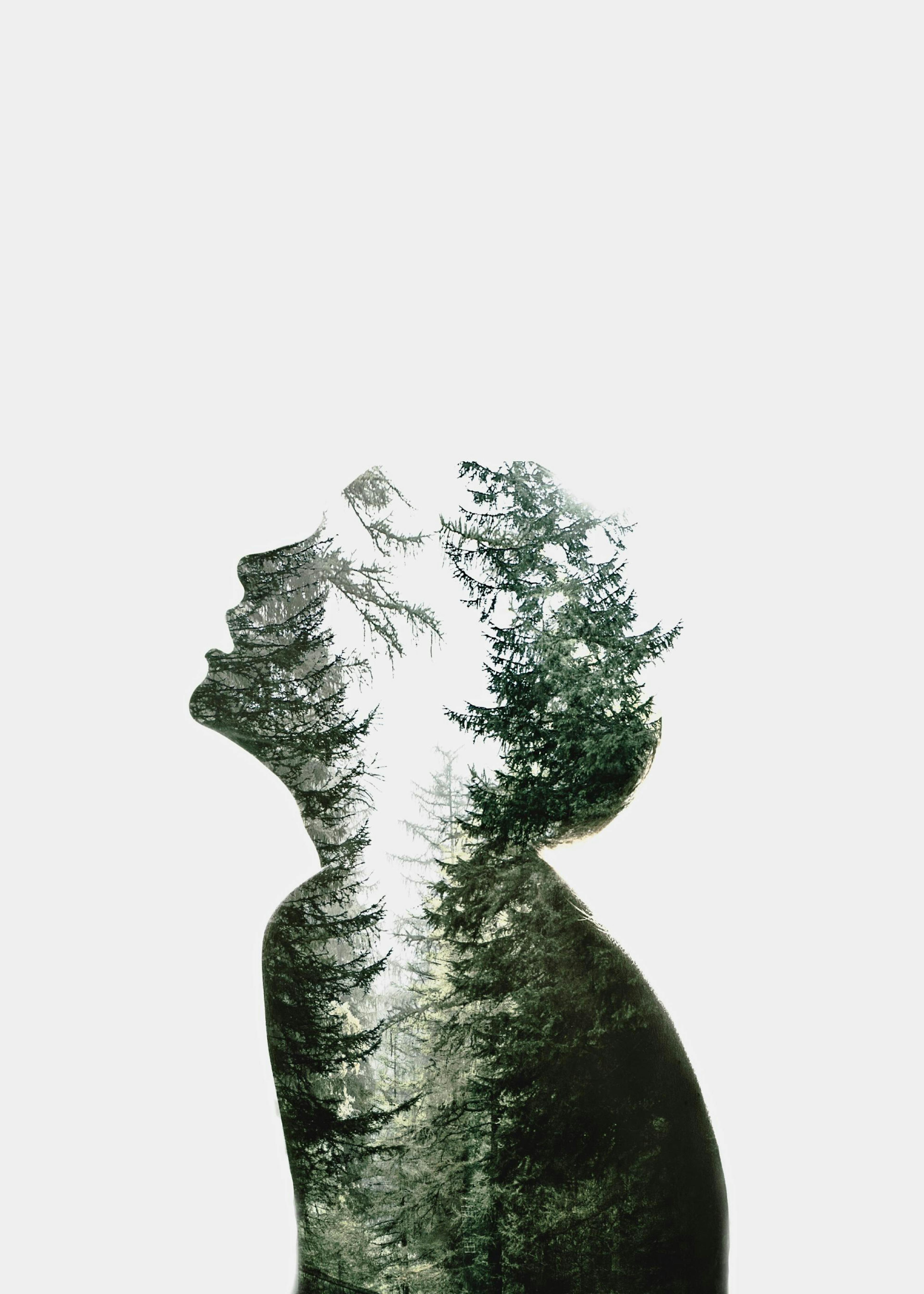 Plakat Dreams of Nature 0