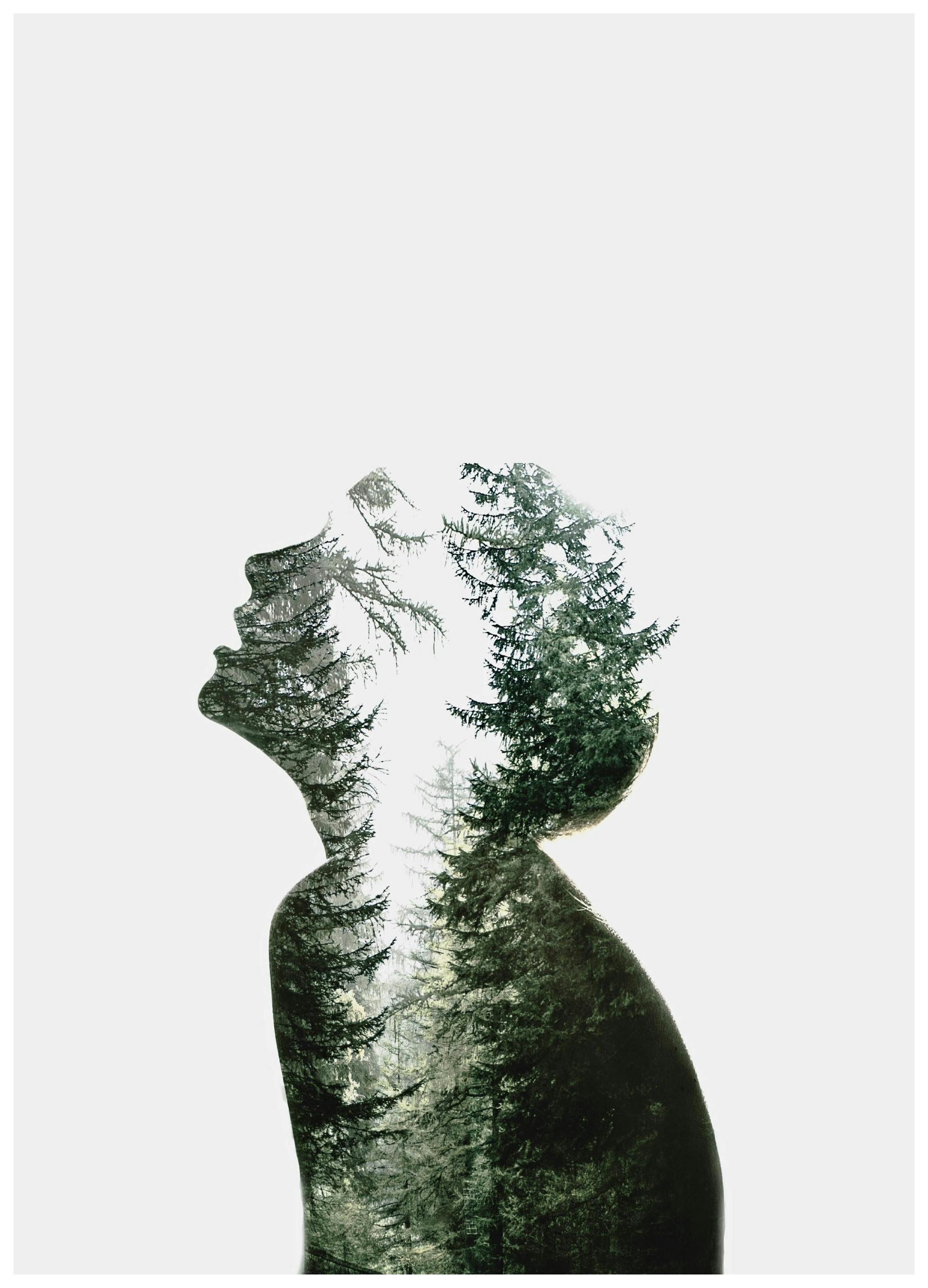 Dreams of Nature Poster (13x18 cm) - Poster Store