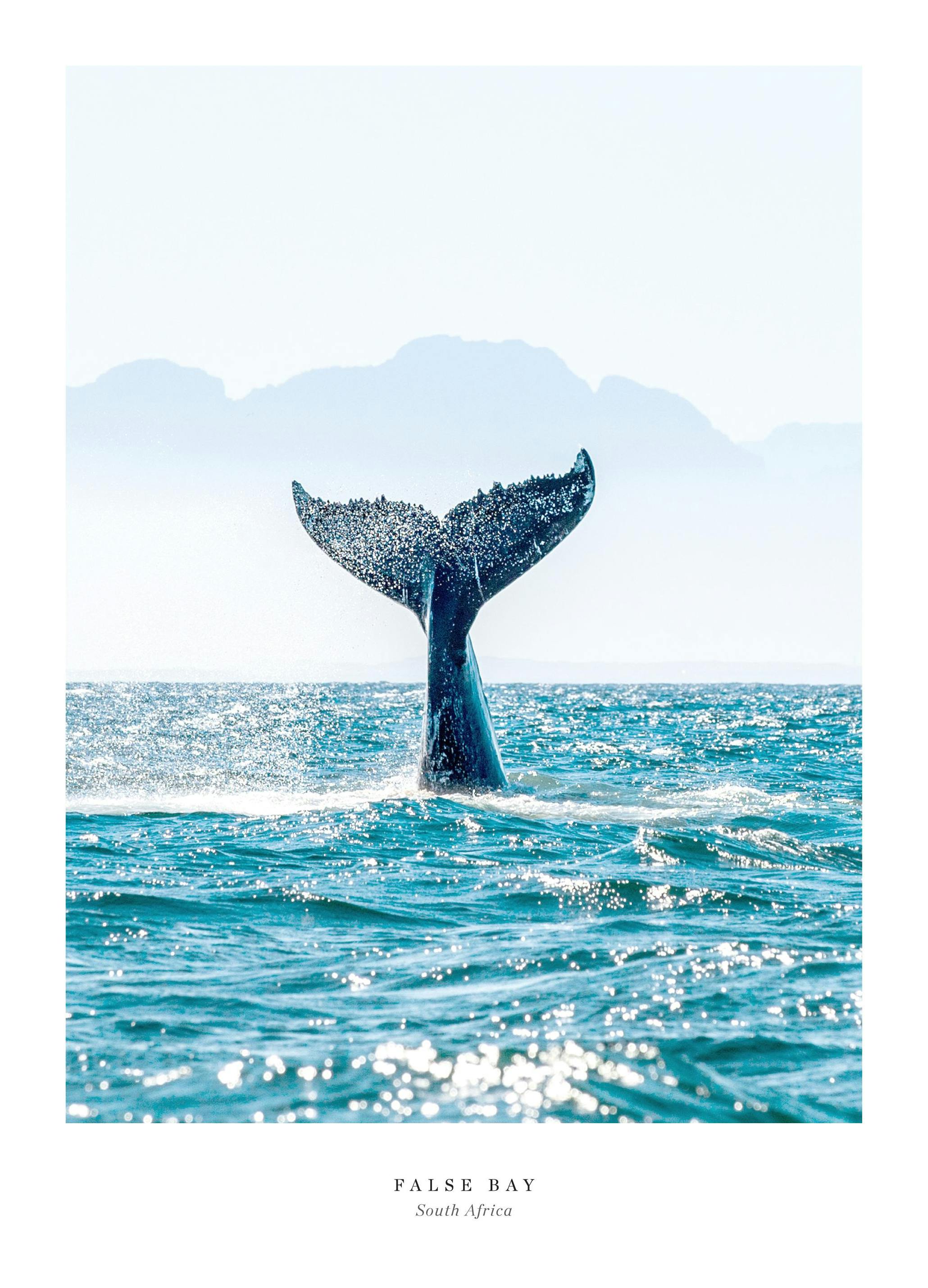 False Bay Poster (30x40 cm) - Poster Store