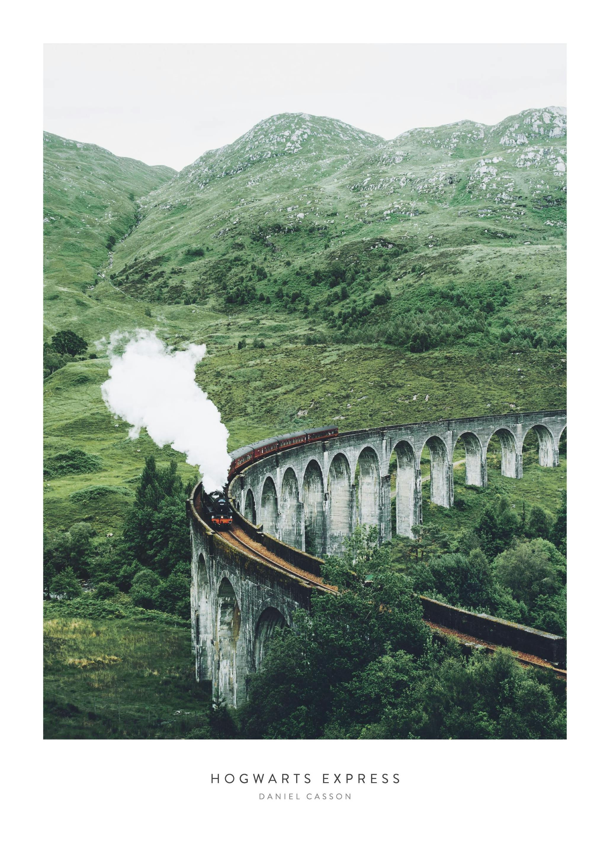 Magical Train Poster (50x70 cm) - Poster Store