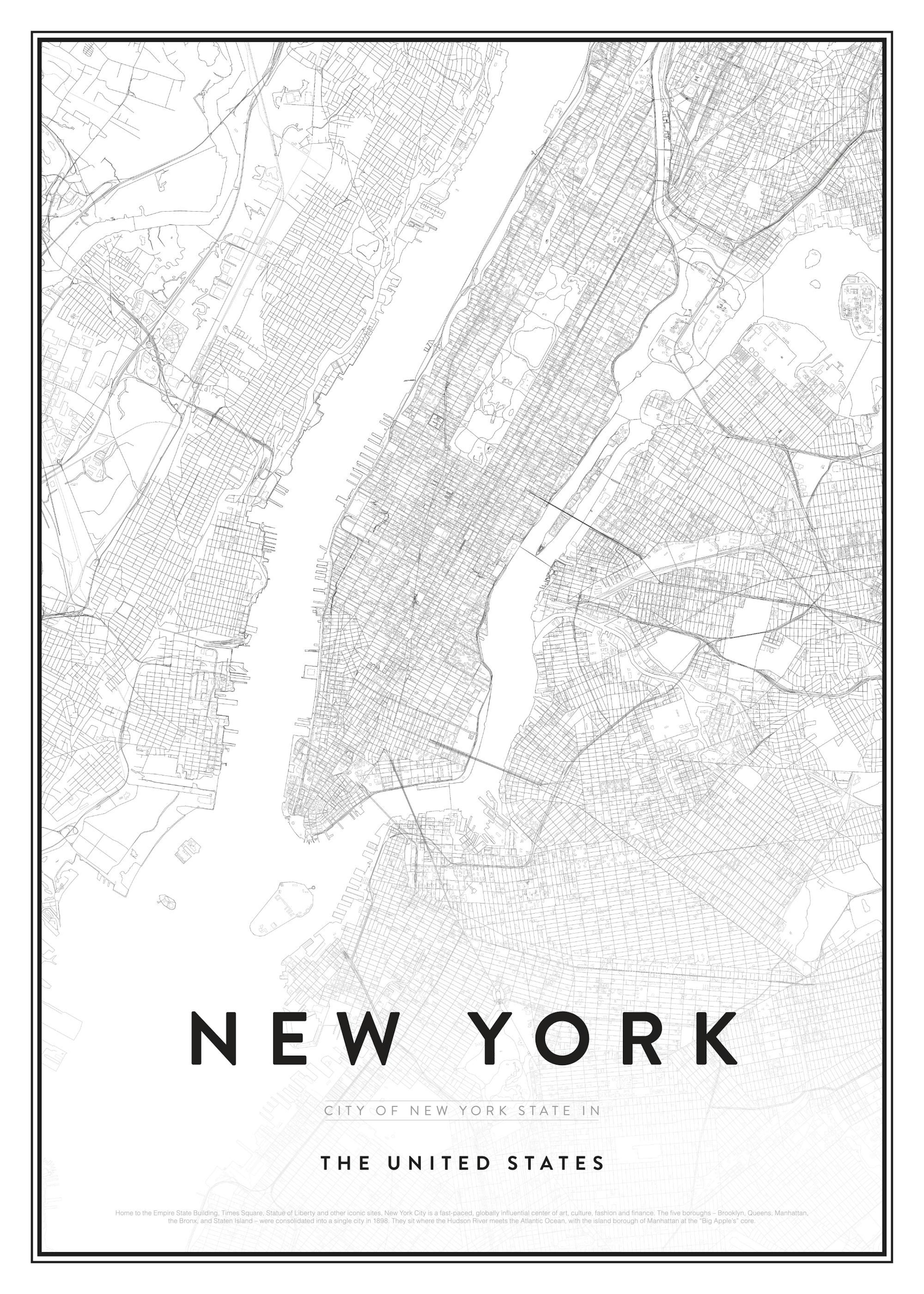 Map of New York Poster 0