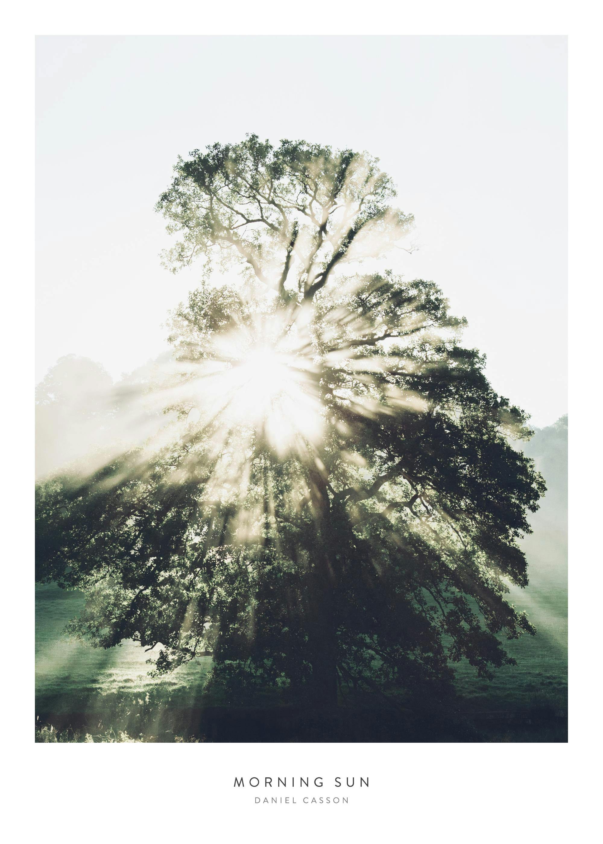 Morning Sun Poster 0