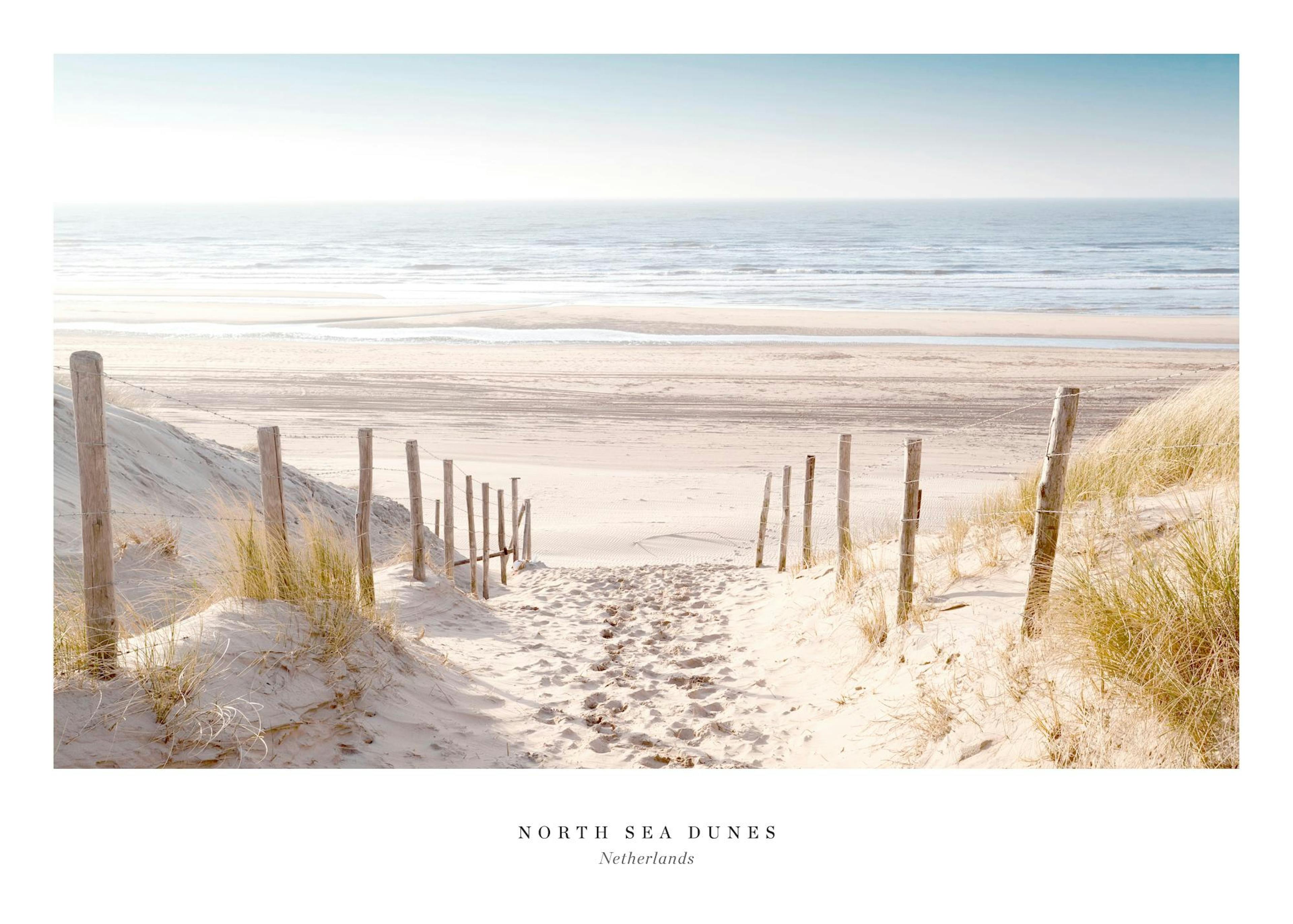 North Sea Dunes Poster 0