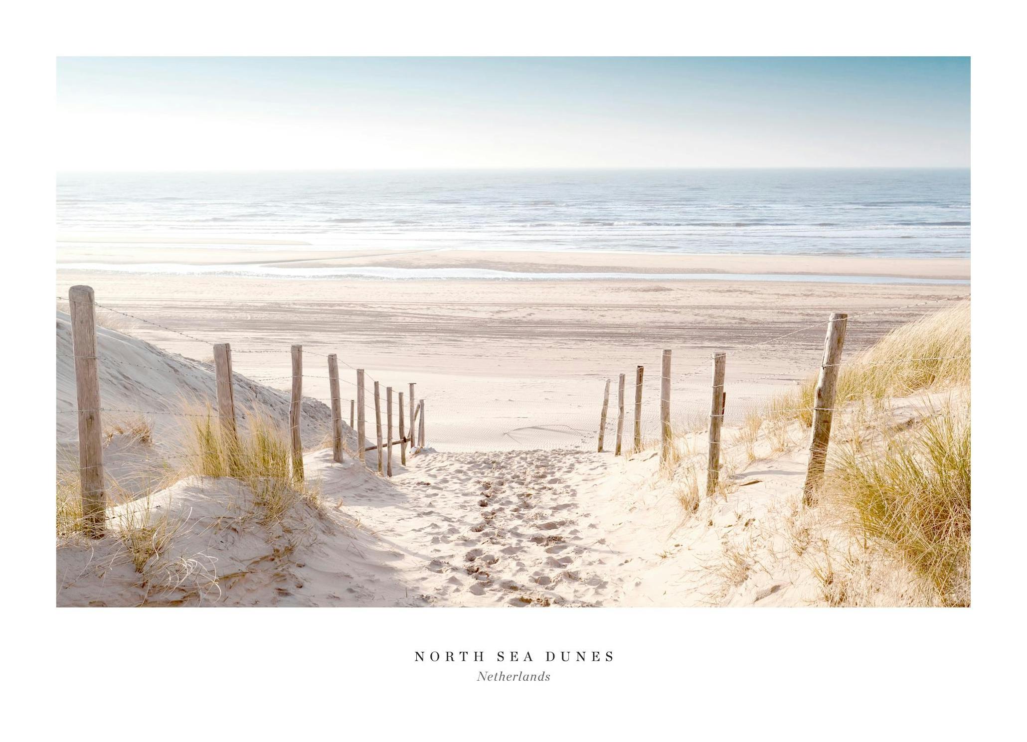 North Sea Dunes Poster (40x50 cm) - Poster Store