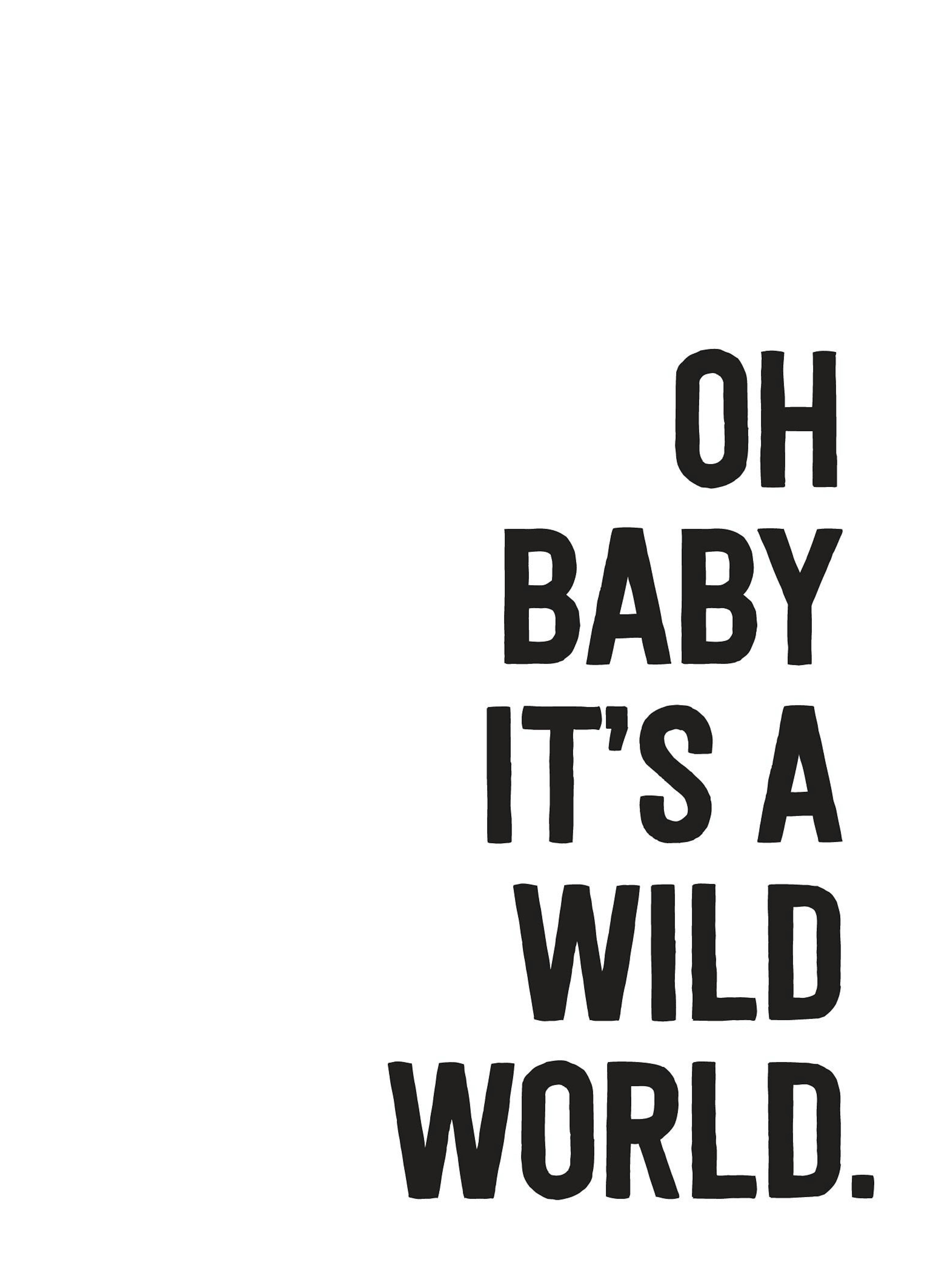Wild World 포스터 thumbnail