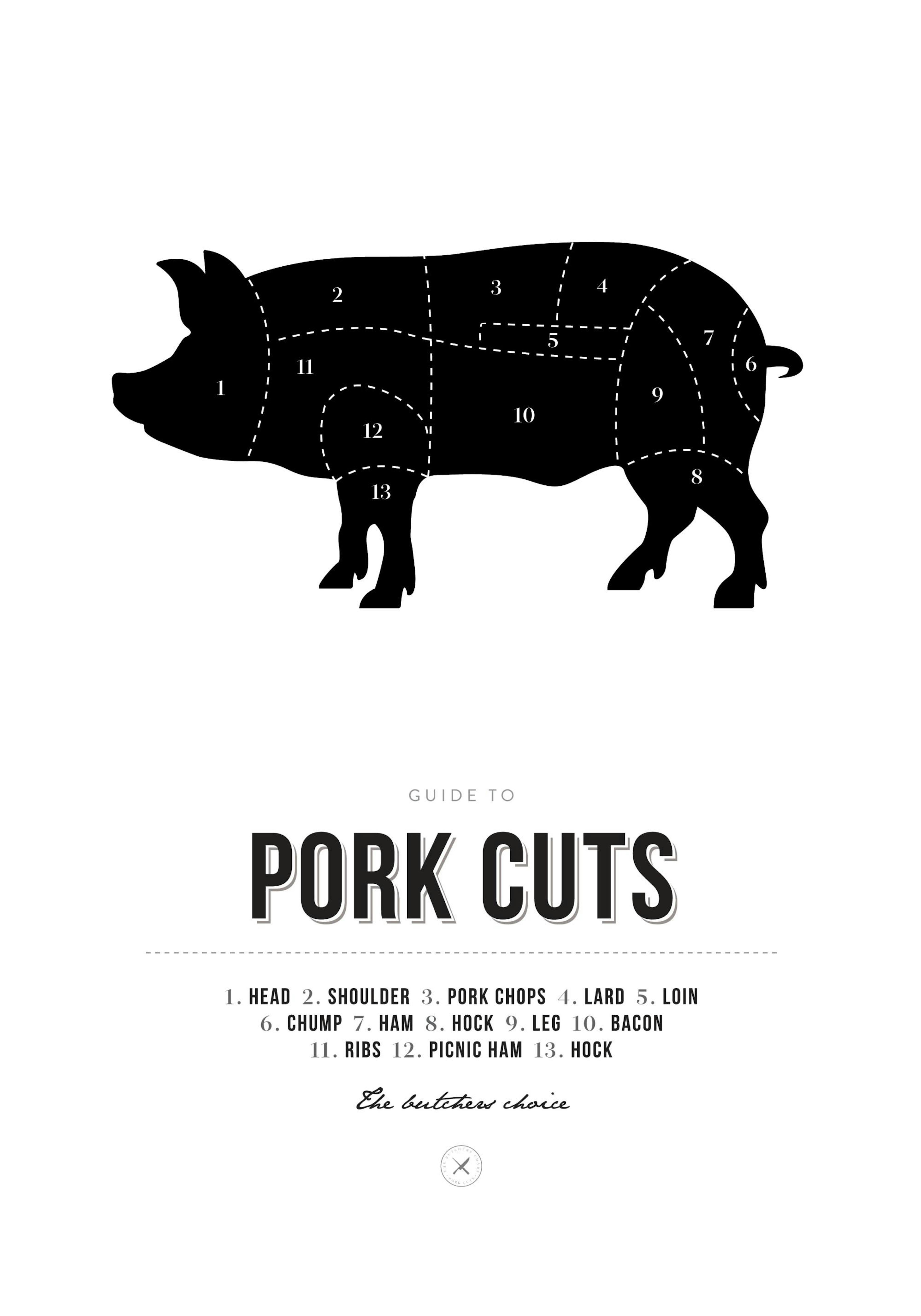 Poster Anatomie Porc thumbnail