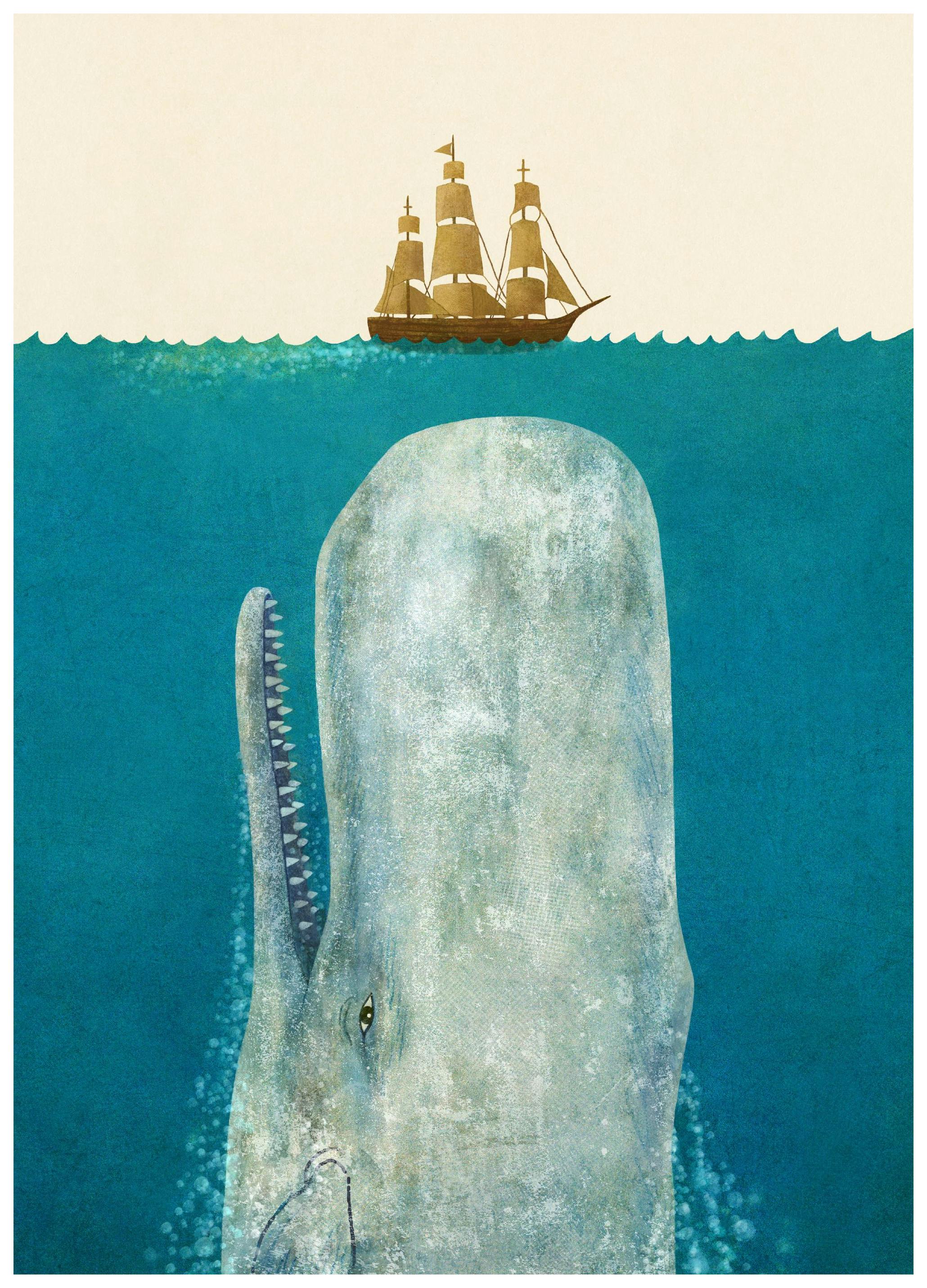 The Whale. Affiche (21x30 cm) - Poster Store