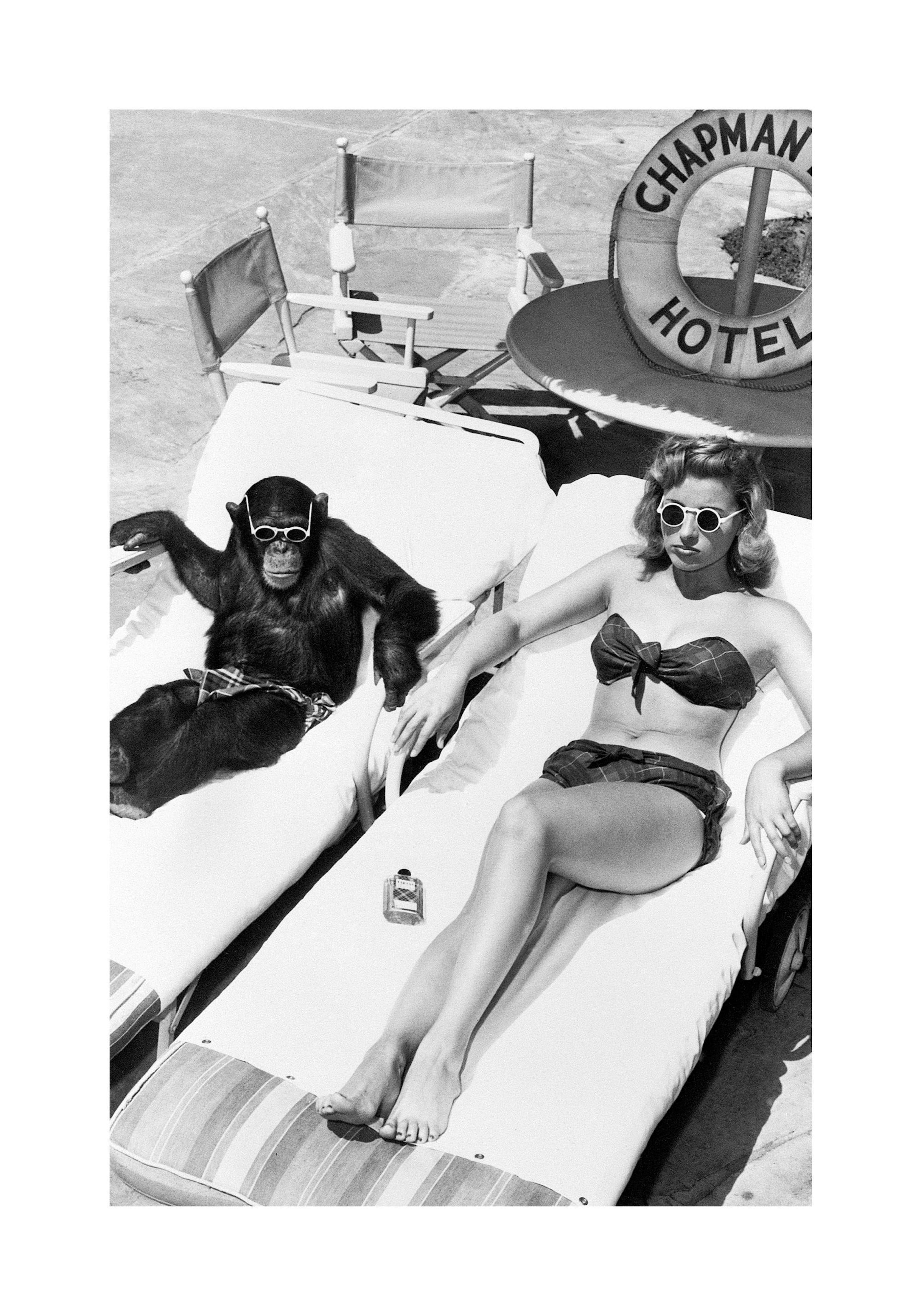 Woman Sunbathing with Chimpanzee Poster thumbnail