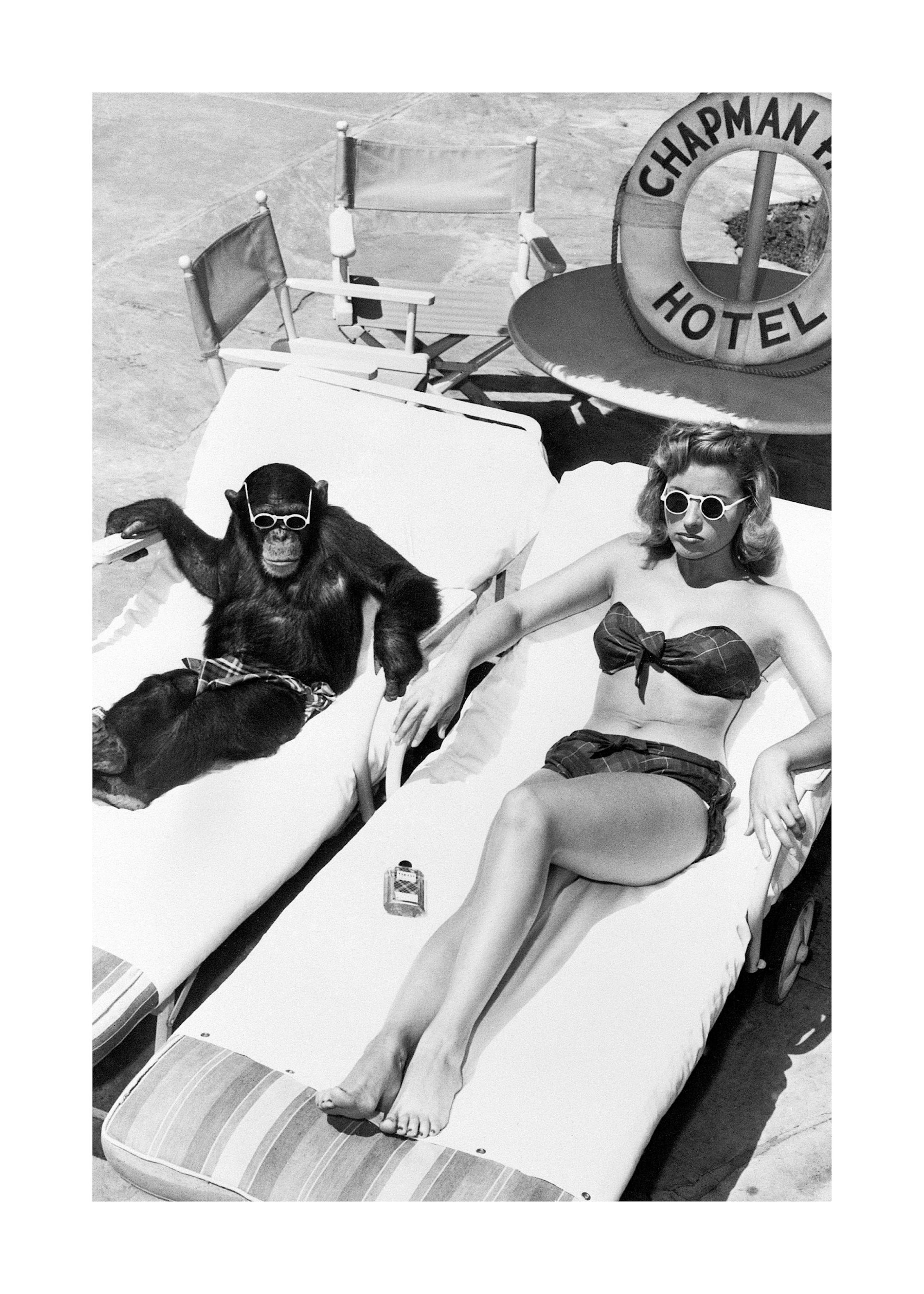 Woman Sunbathing with Chimpanzee Poster 0